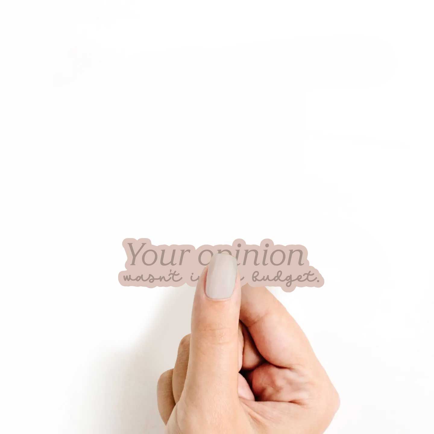 Your Opinion Wasn't In My Budget Sticker