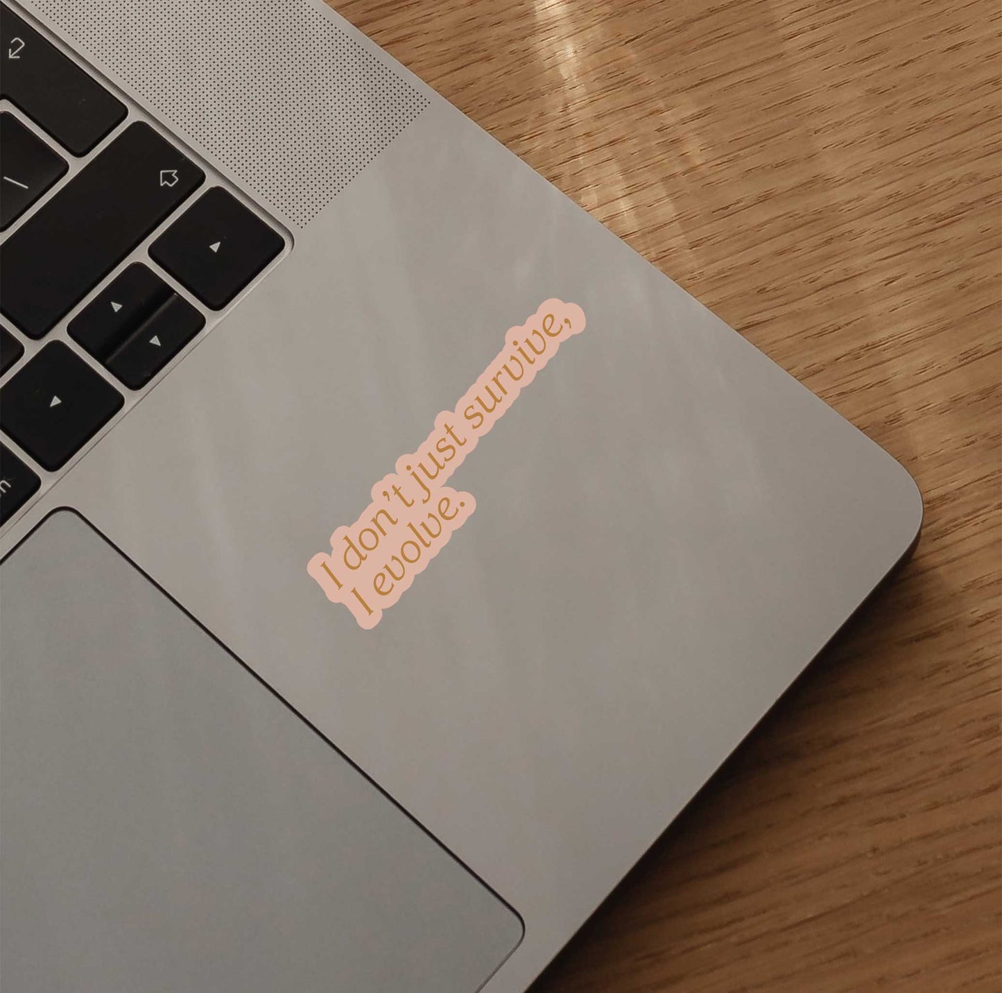 I Don't Just Survive, I Evolve Sticker
