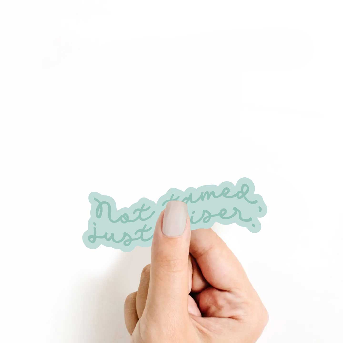 Not Tamed, Just Wiser Sticker