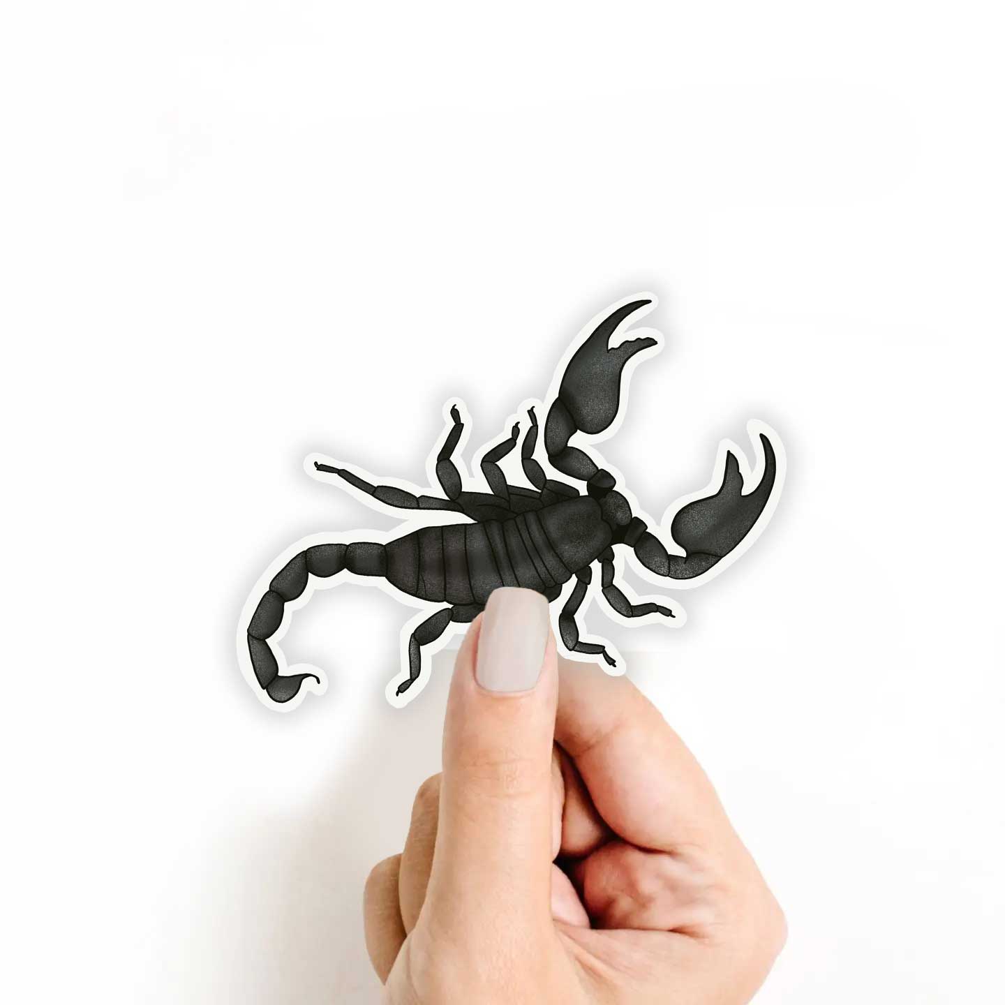 Scorpion Sticker