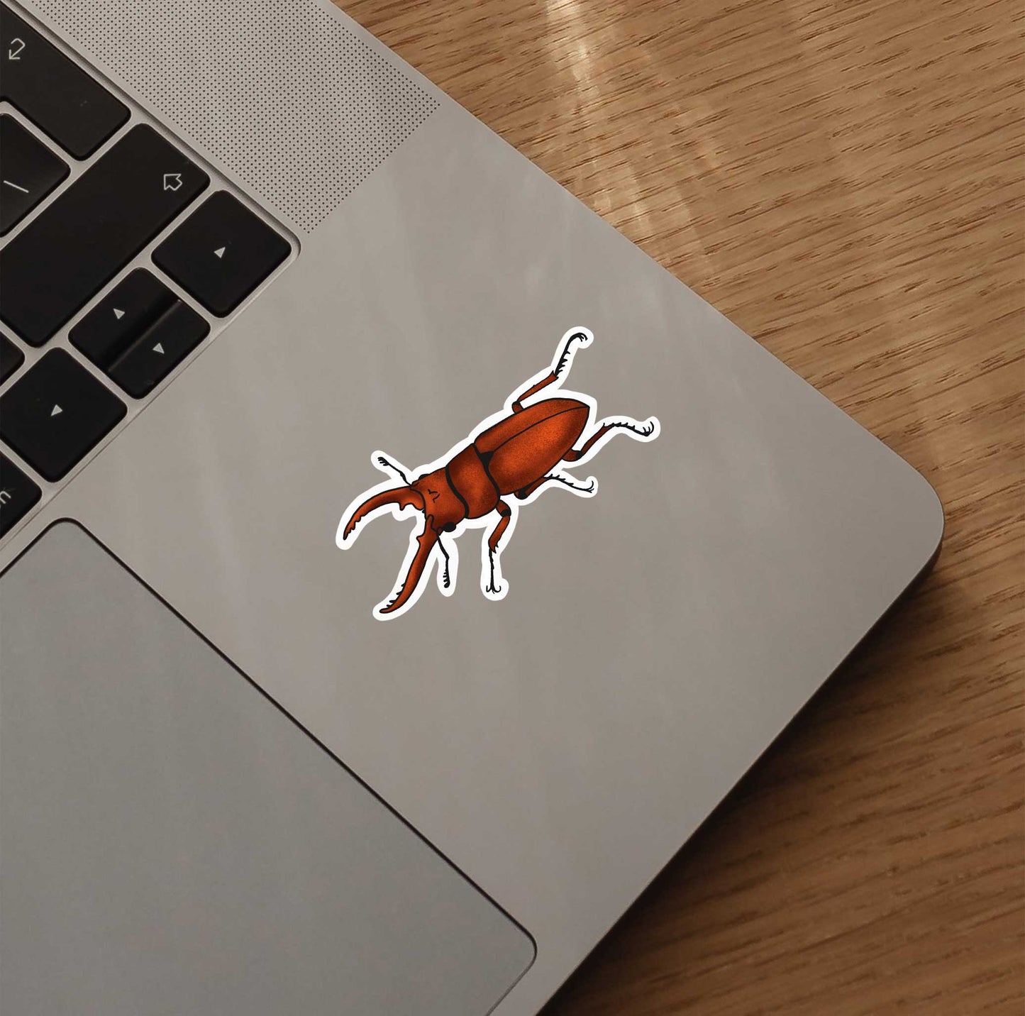 Stag Beetle Sticker