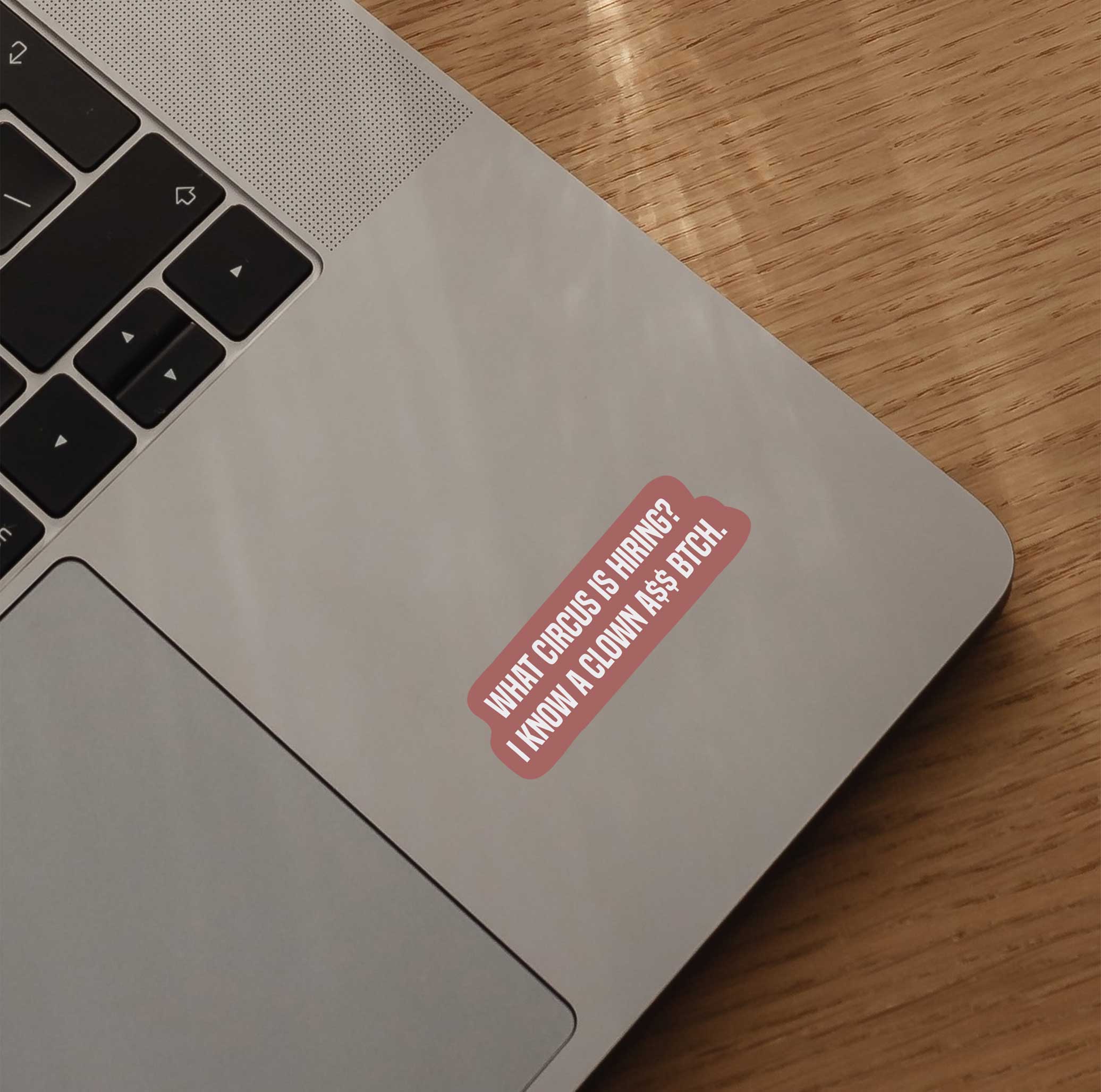What Circus Is Hiring? I Know A Clown A$$ Btch Sticker