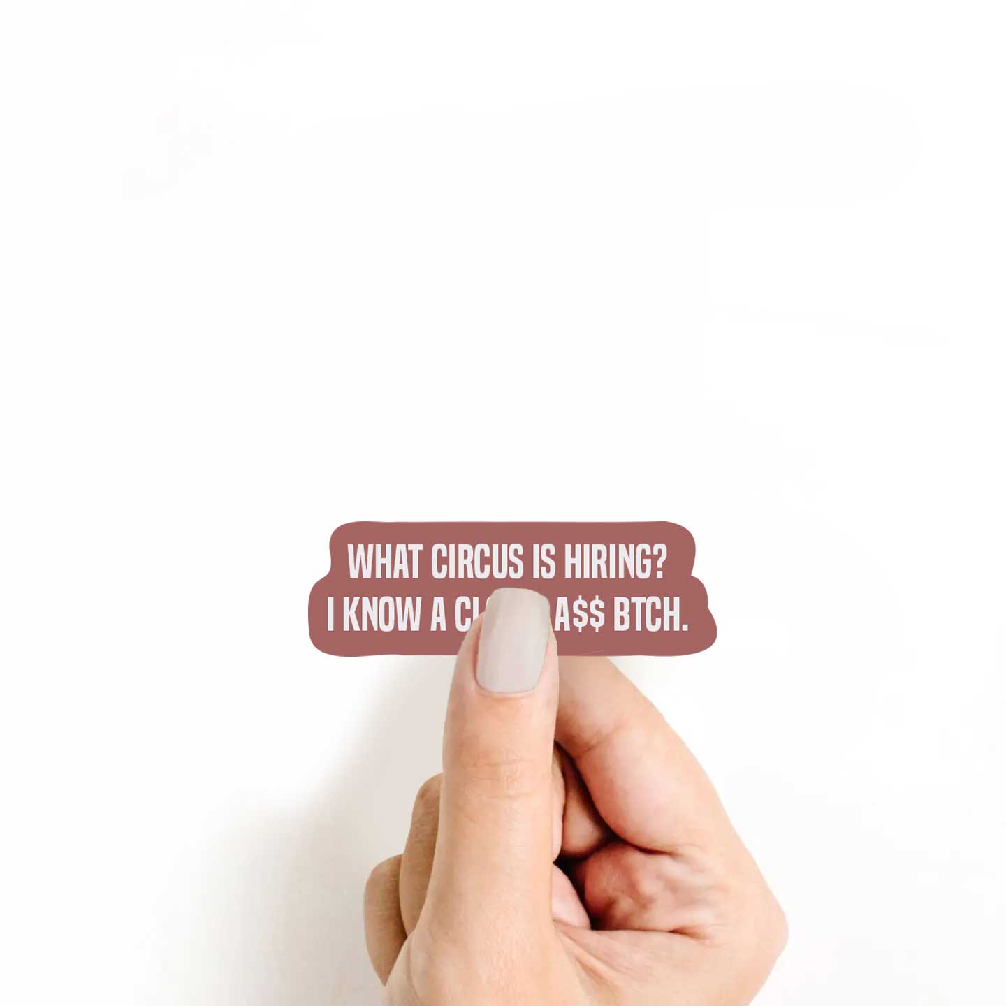 What Circus Is Hiring? I Know A Clown A$$ Btch Sticker