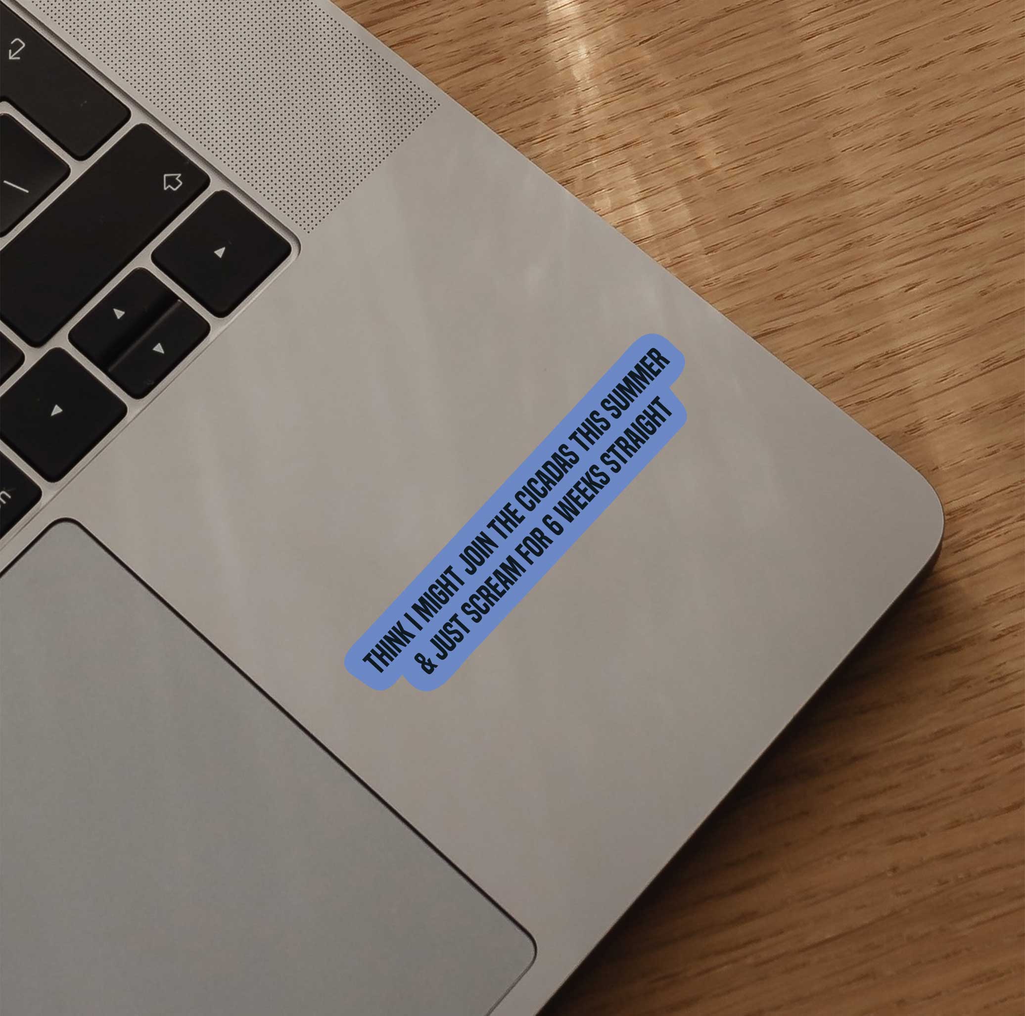 Think I Might Join The Cicadas This Summer & Just Scream For 6 Weeks Straight Sticker