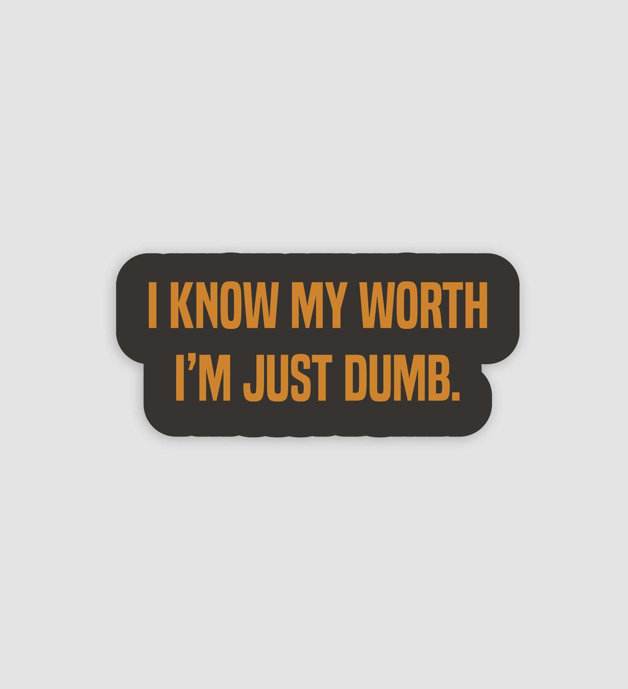 I Know My Worth I'm Just Dumb Sticker