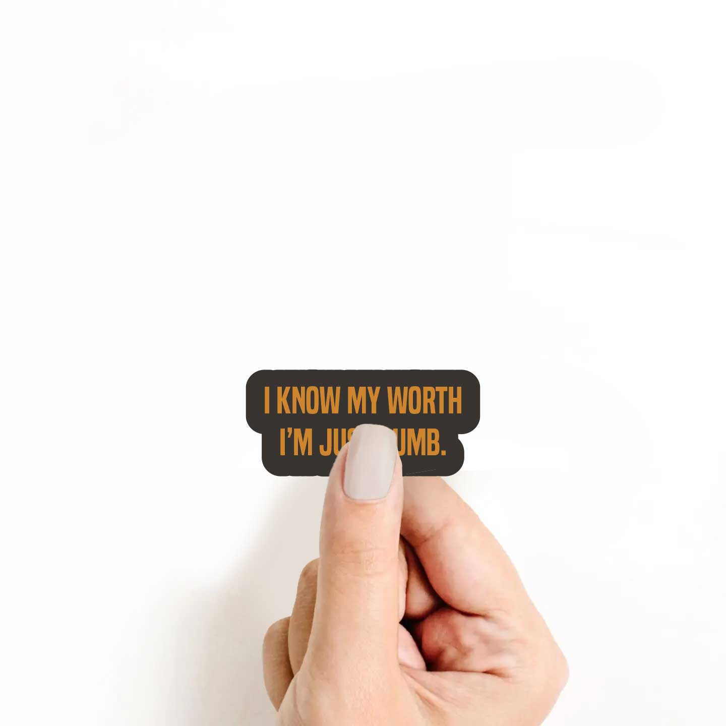I Know My Worth I'm Just Dumb Sticker