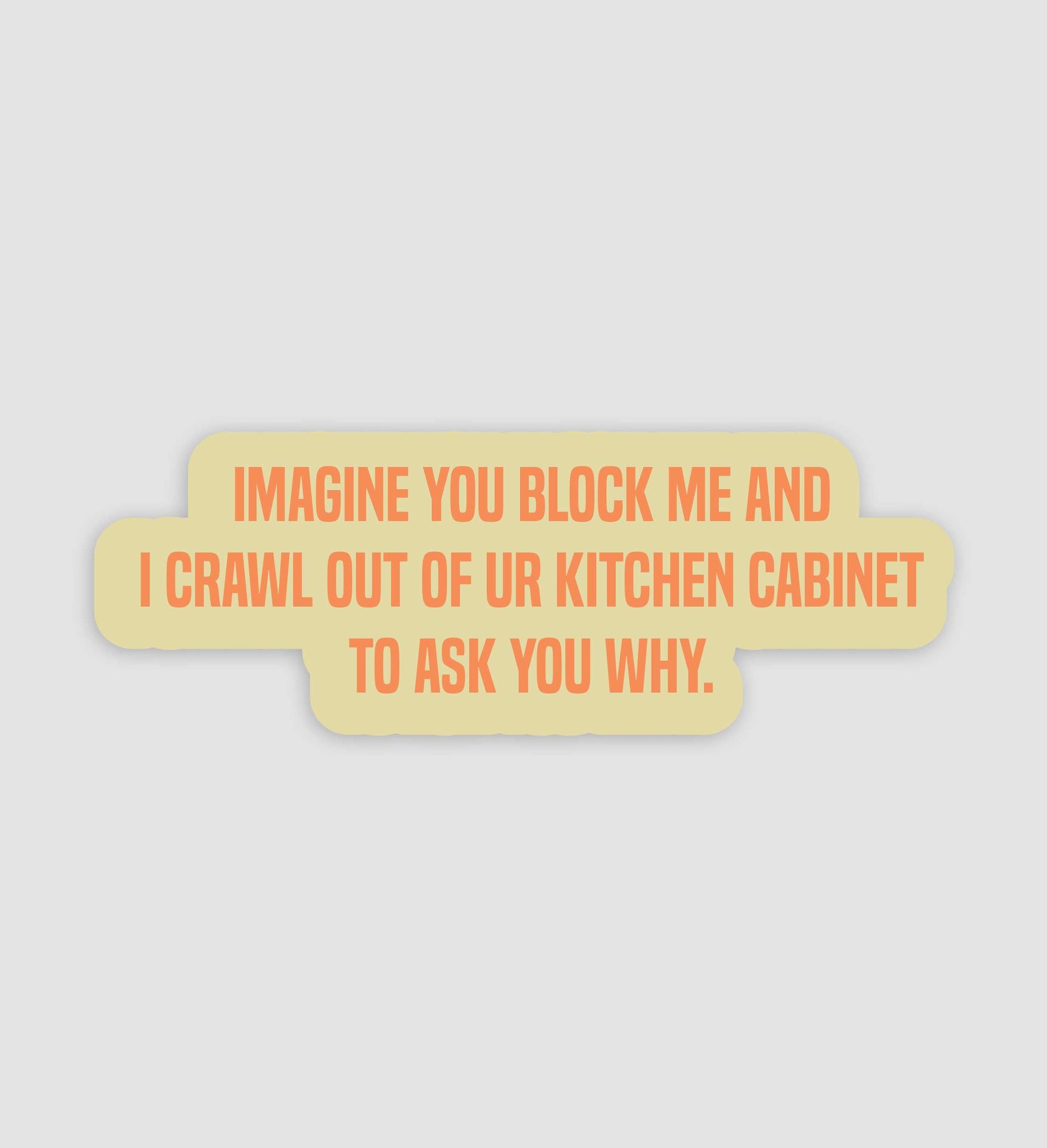 Imagine You Block Me And I Crawl Out Of Your Cabinet To Ask You Why Sticker