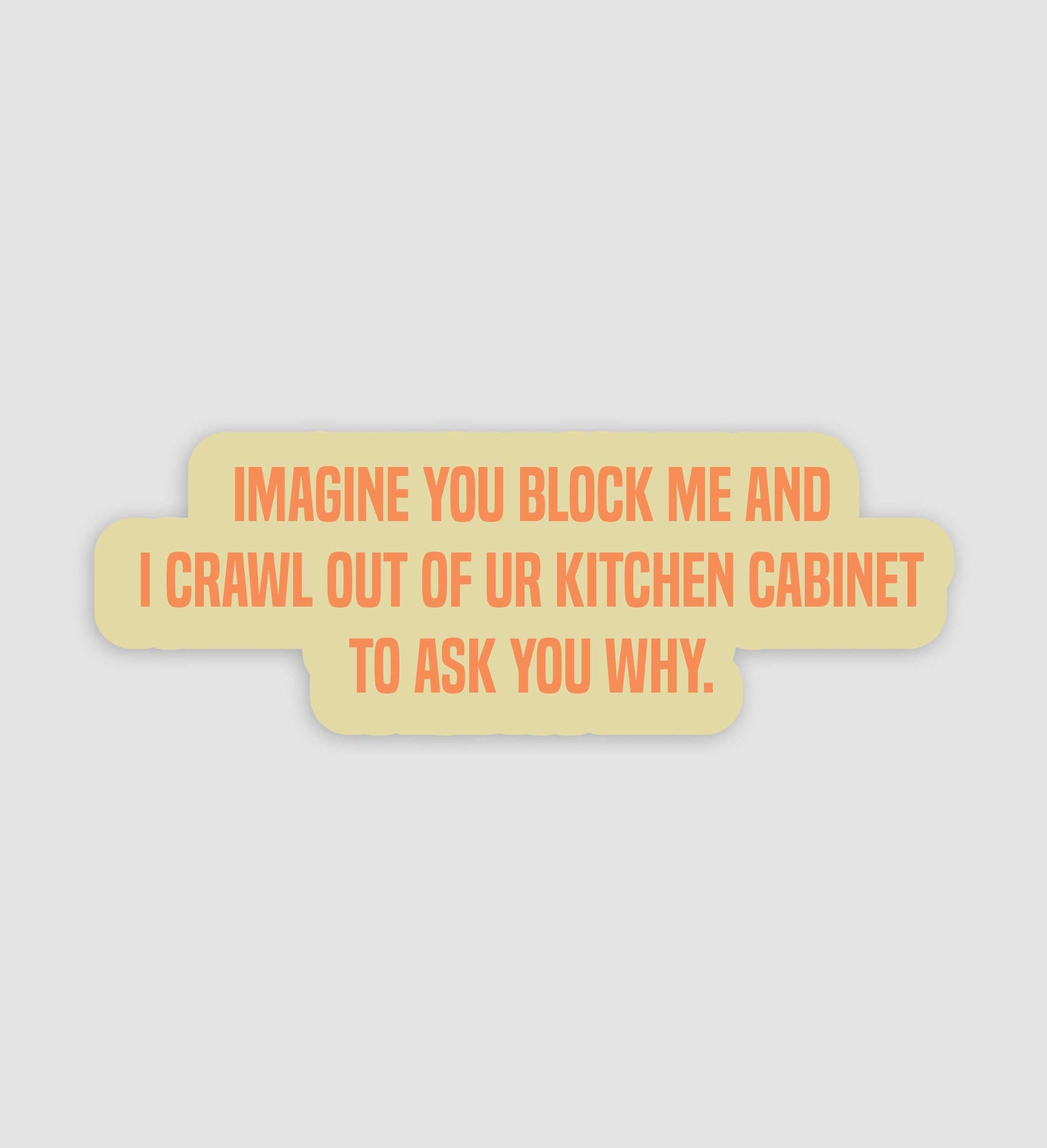 Imagine You Block Me And I Crawl Out Of Your Cabinet To Ask You Why Sticker