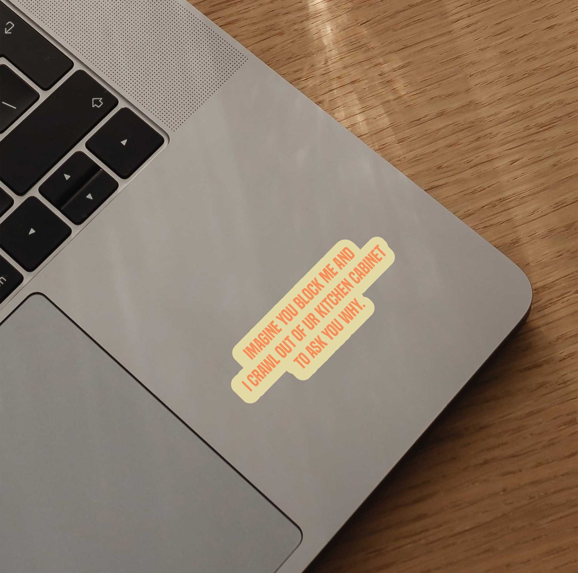 Imagine You Block Me And I Crawl Out Of Your Cabinet To Ask You Why Sticker