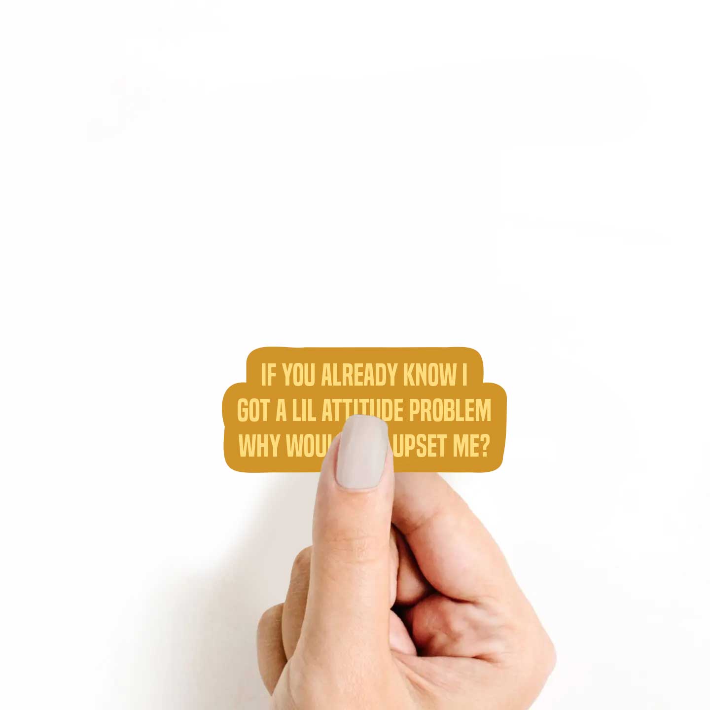 If You Already Know I Got An Attitude Problem Why Would You Upset Me Sticker