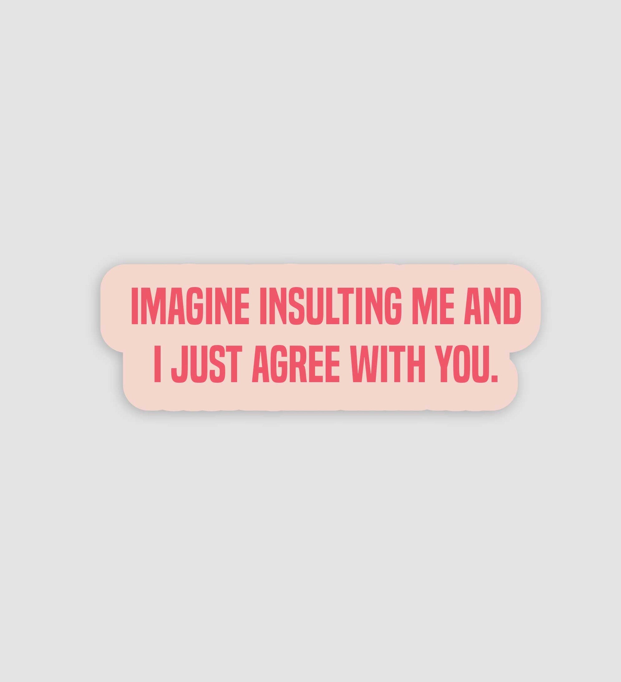 Imagine Insulting Me And I Just Agree With You Sticker