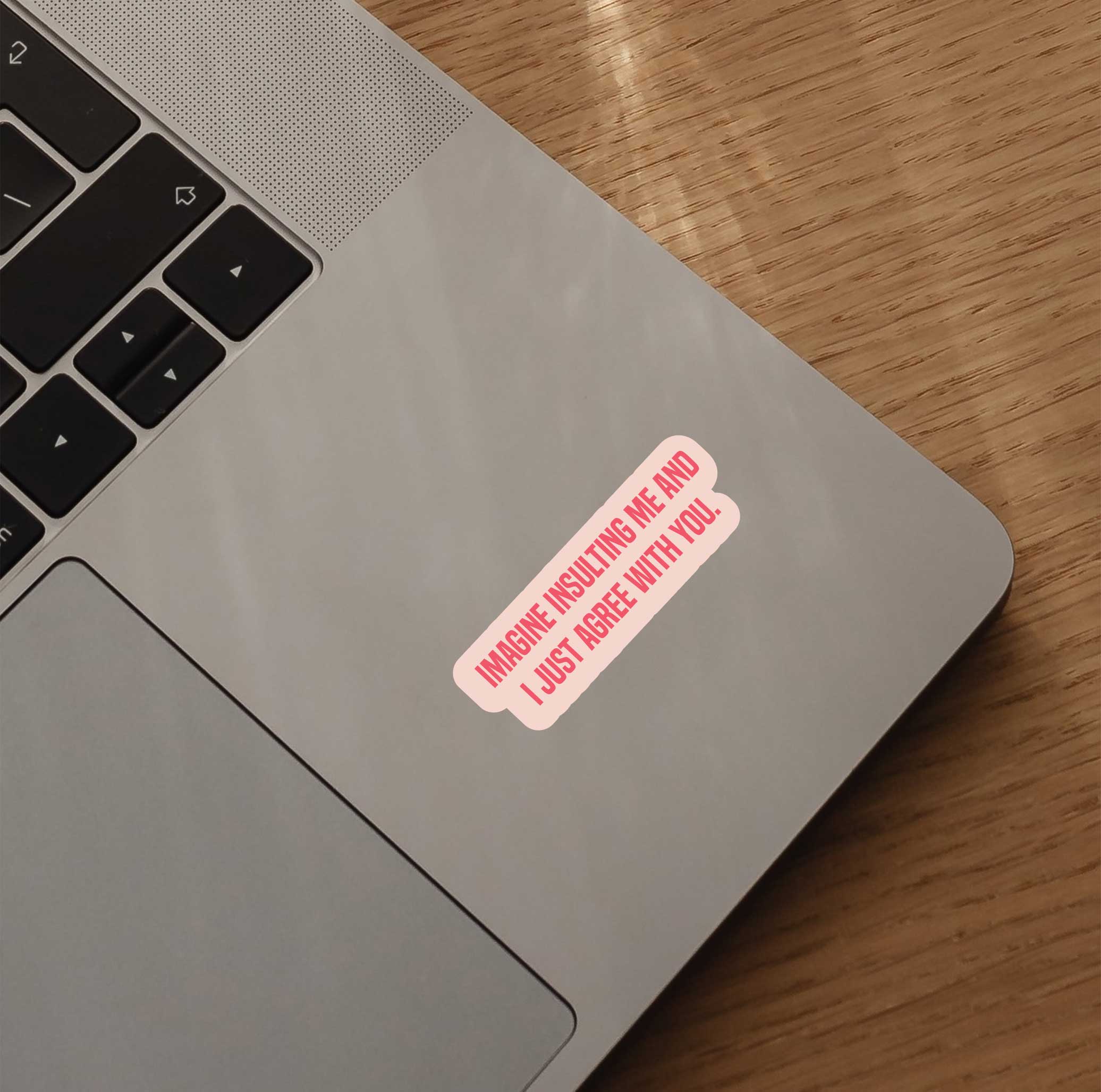 Imagine Insulting Me And I Just Agree With You Sticker