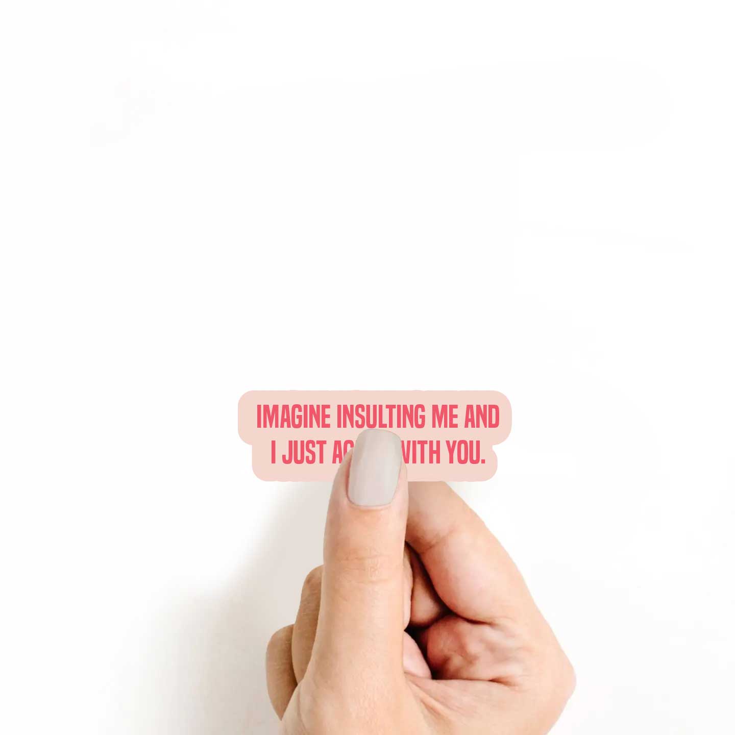 Imagine Insulting Me And I Just Agree With You Sticker