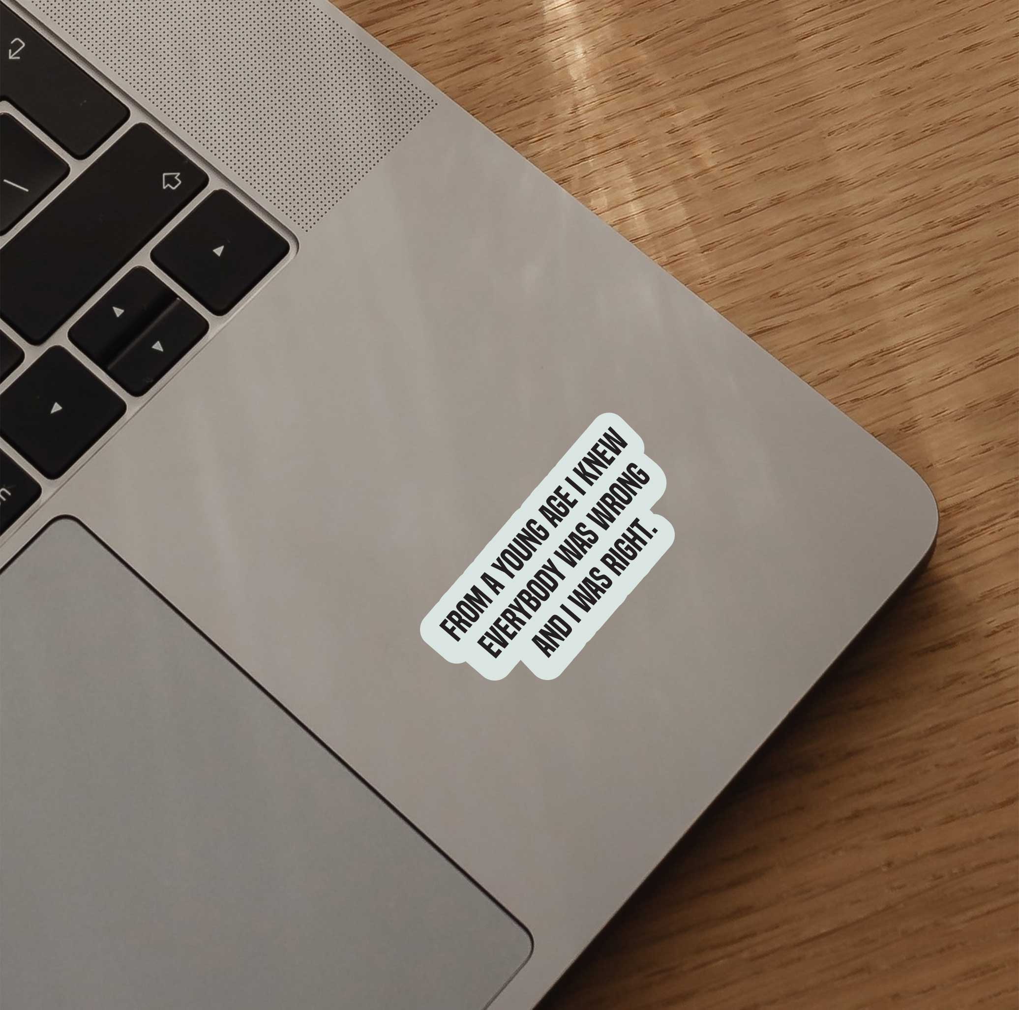 From A Young Age I Knew Everybody Was Wrong And I Was Right Sticker