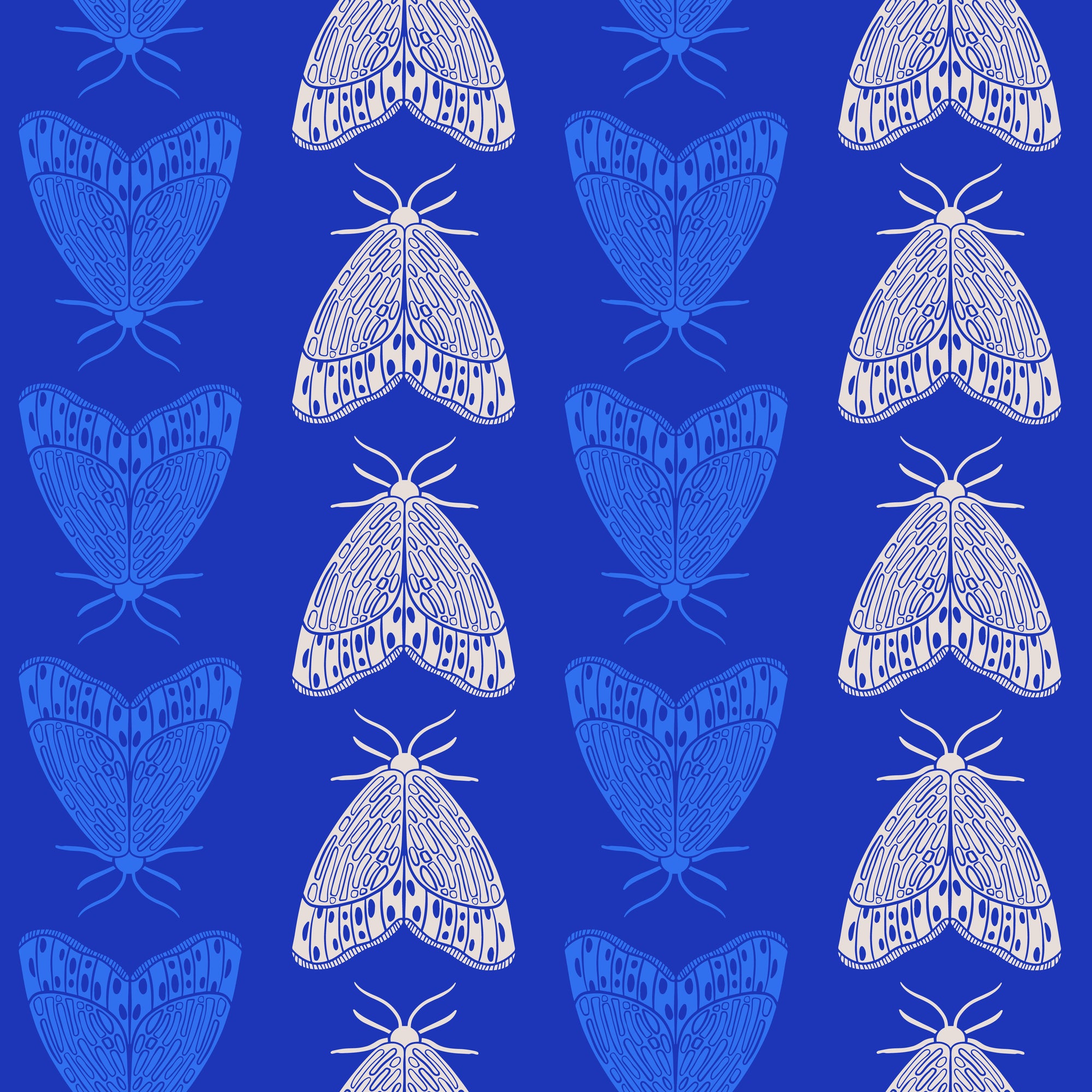 Royal Flight  Peel & Stick Wallpaper