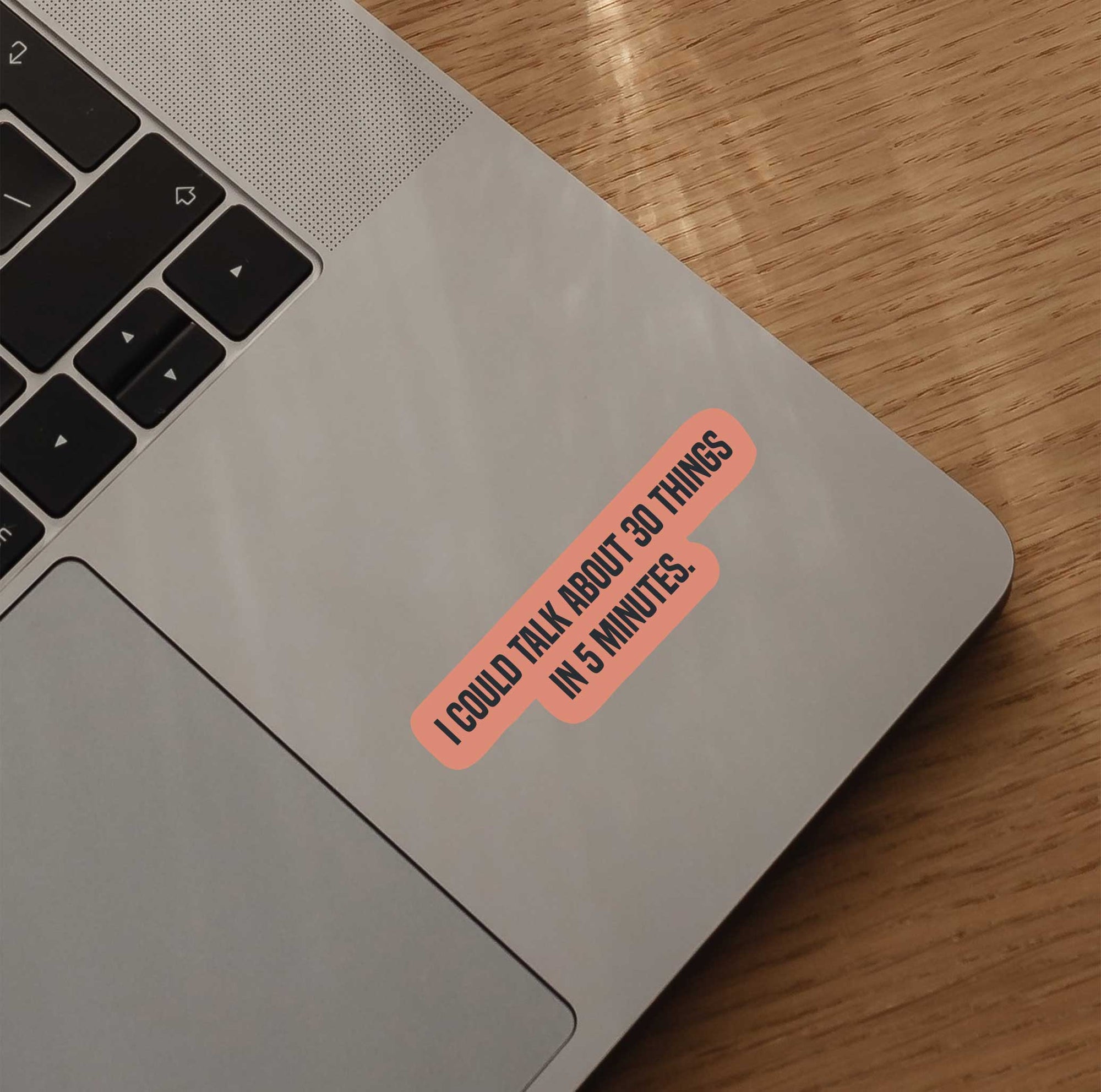 I Could Talk About 30 Things In 5 Minutes Sticker