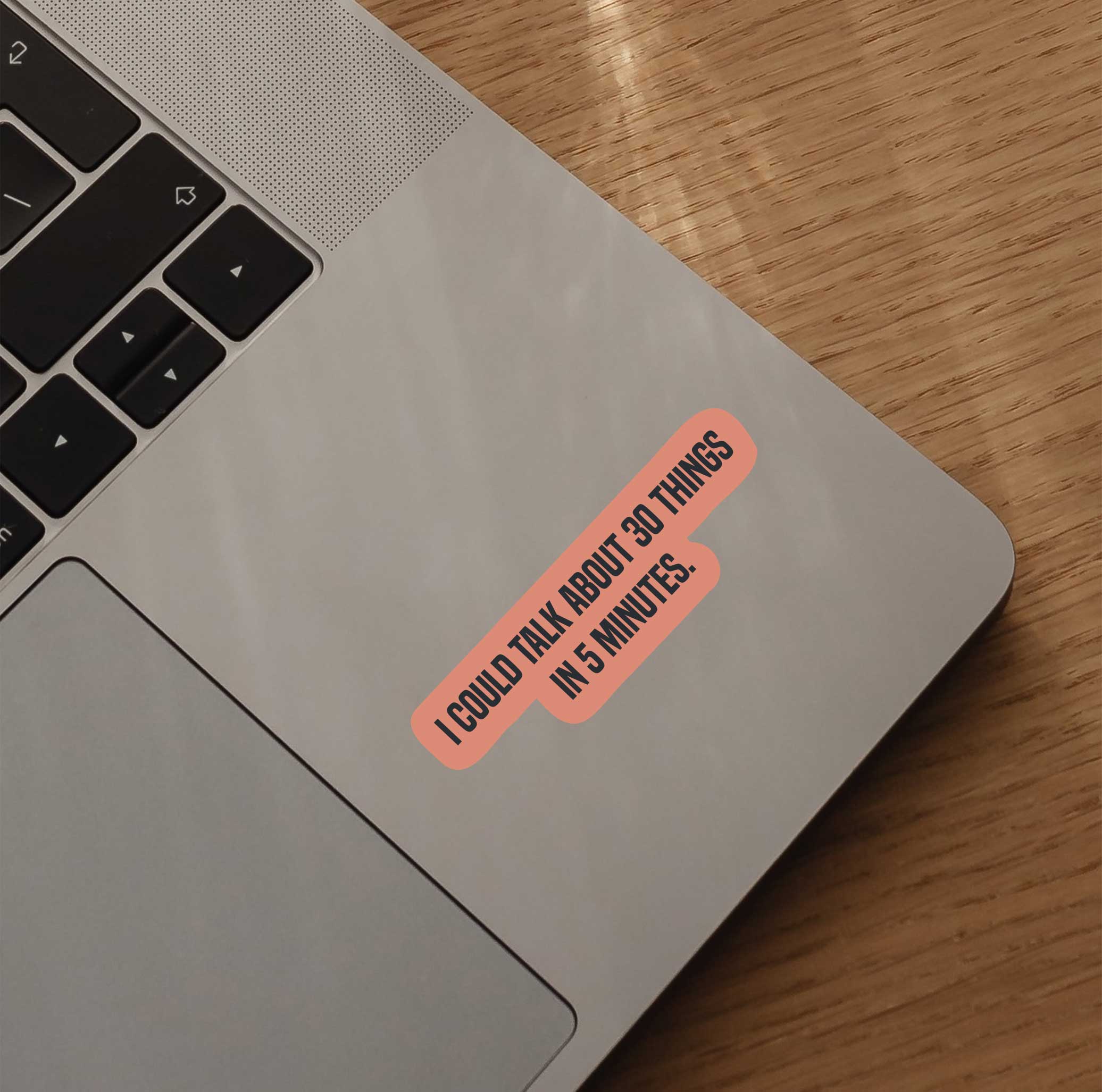 I Could Talk About 30 Things In 5 Minutes Sticker