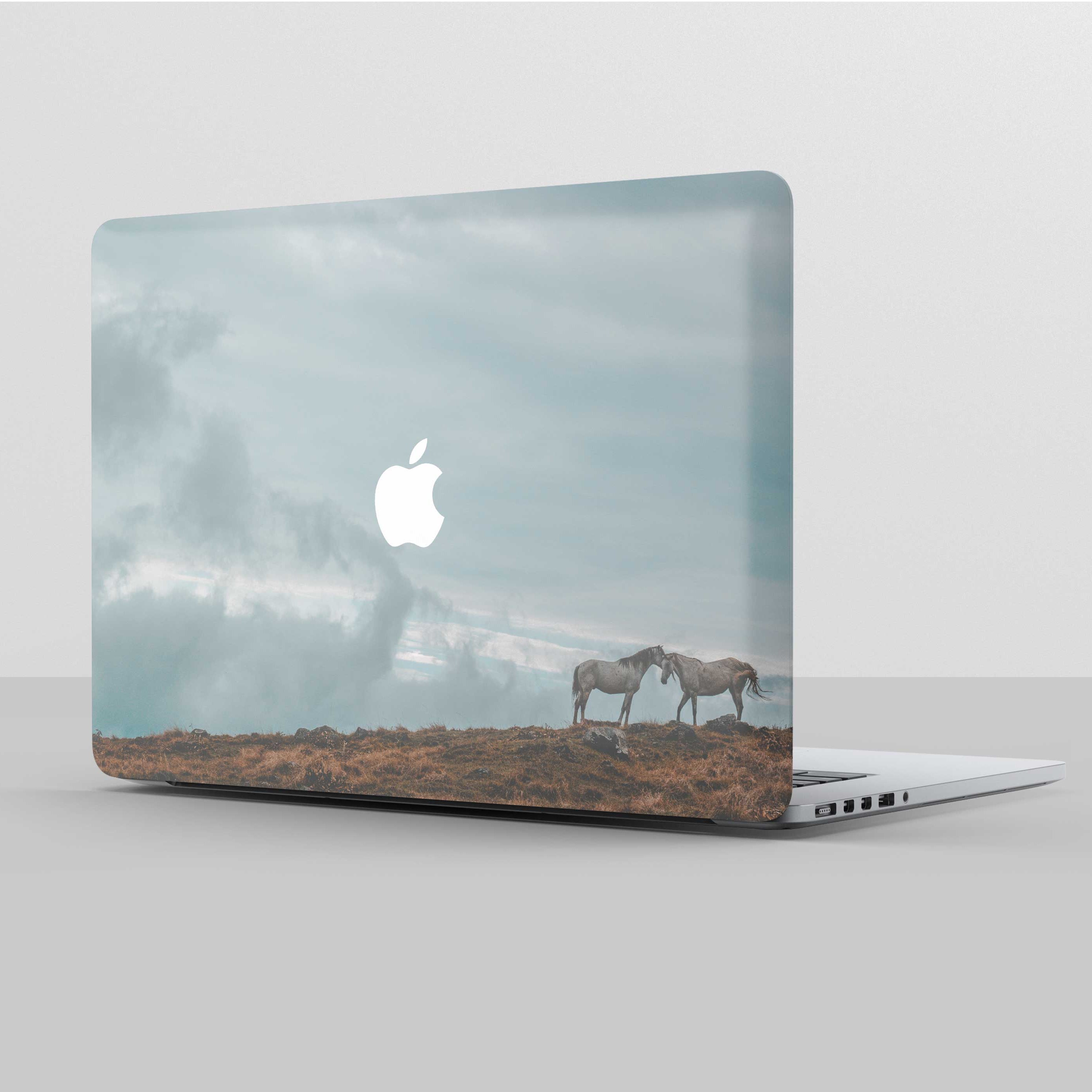 81 Laptop Skin