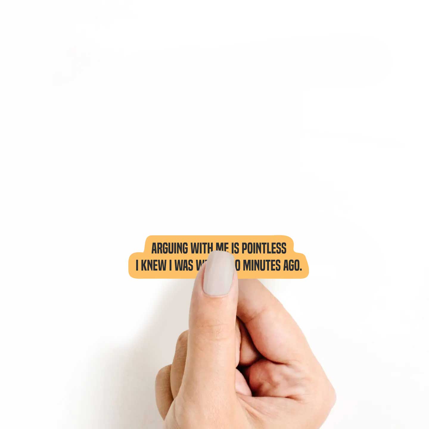 Arguing With Me Is Pointless I Knew I Was Wrong 10 Minutes Ago Sticker