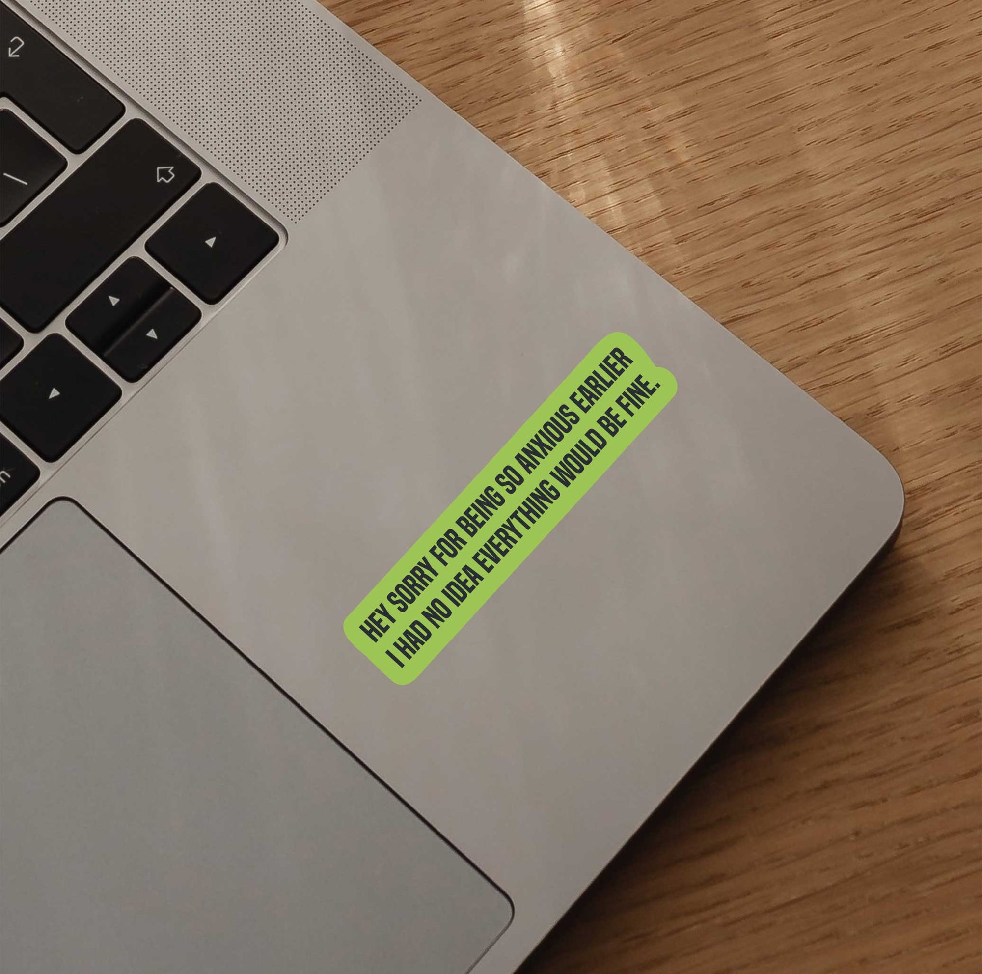 Sorry For Being So Anxious I Had No Idea Everything Would Be Fine Sticker
