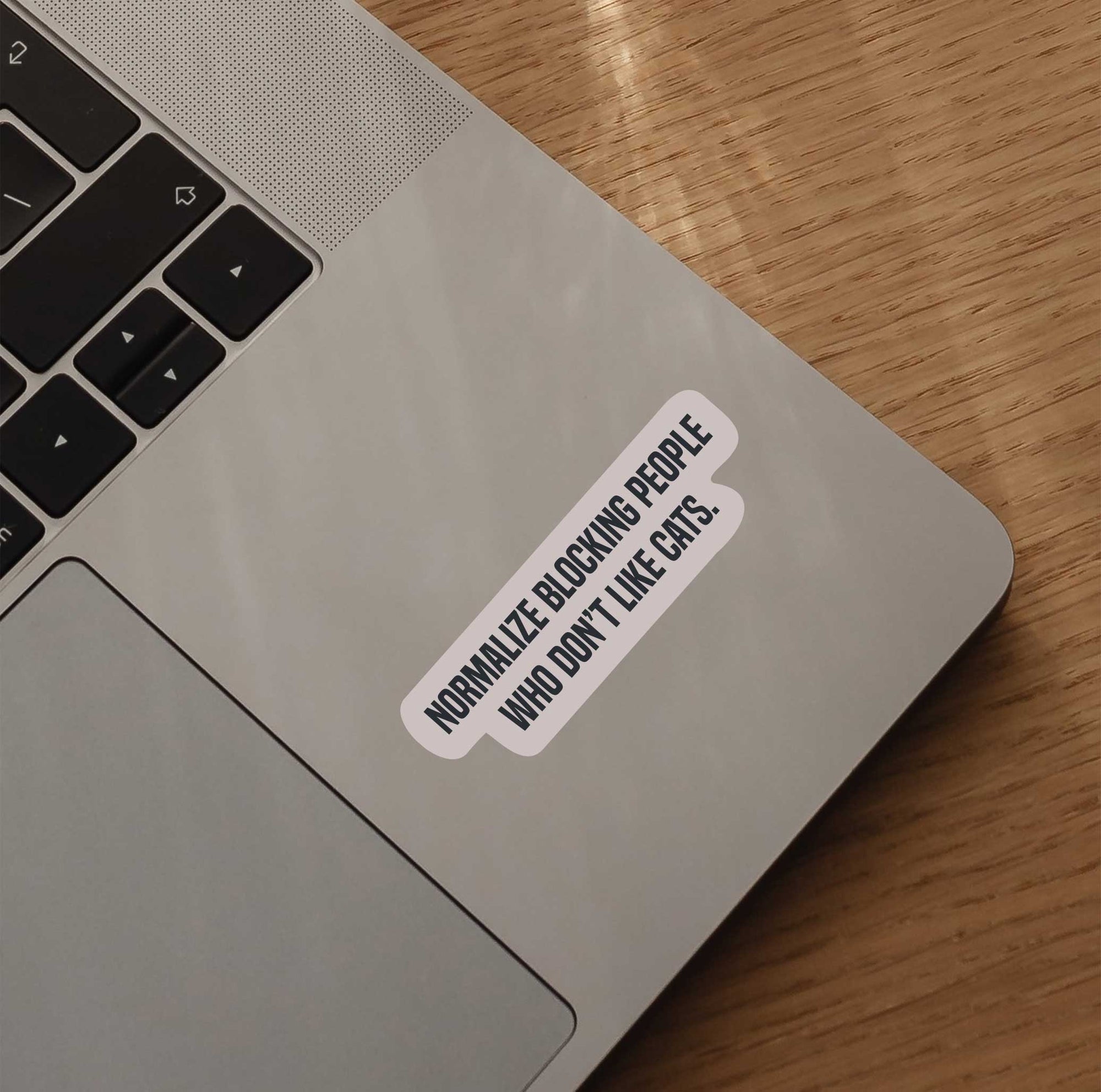 Normalize Blocking People Who Don't Like Cats Sticker