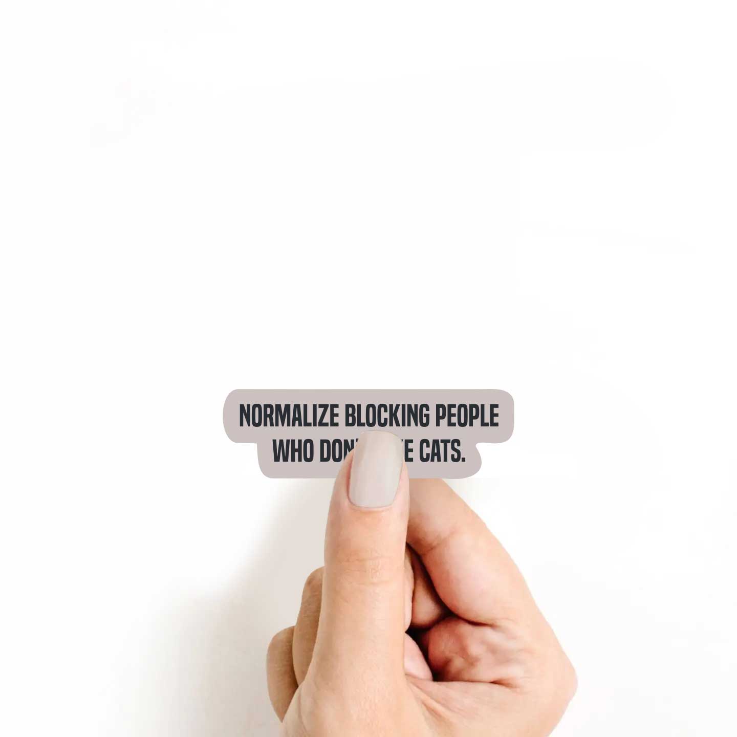 Normalize Blocking People Who Don't Like Cats Sticker
