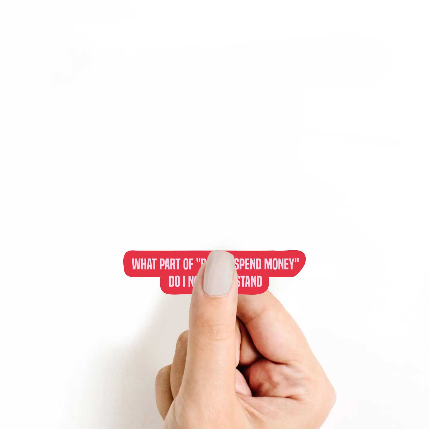 What Part Of "Do Not Spend Money" Do I Not Understand Sticker