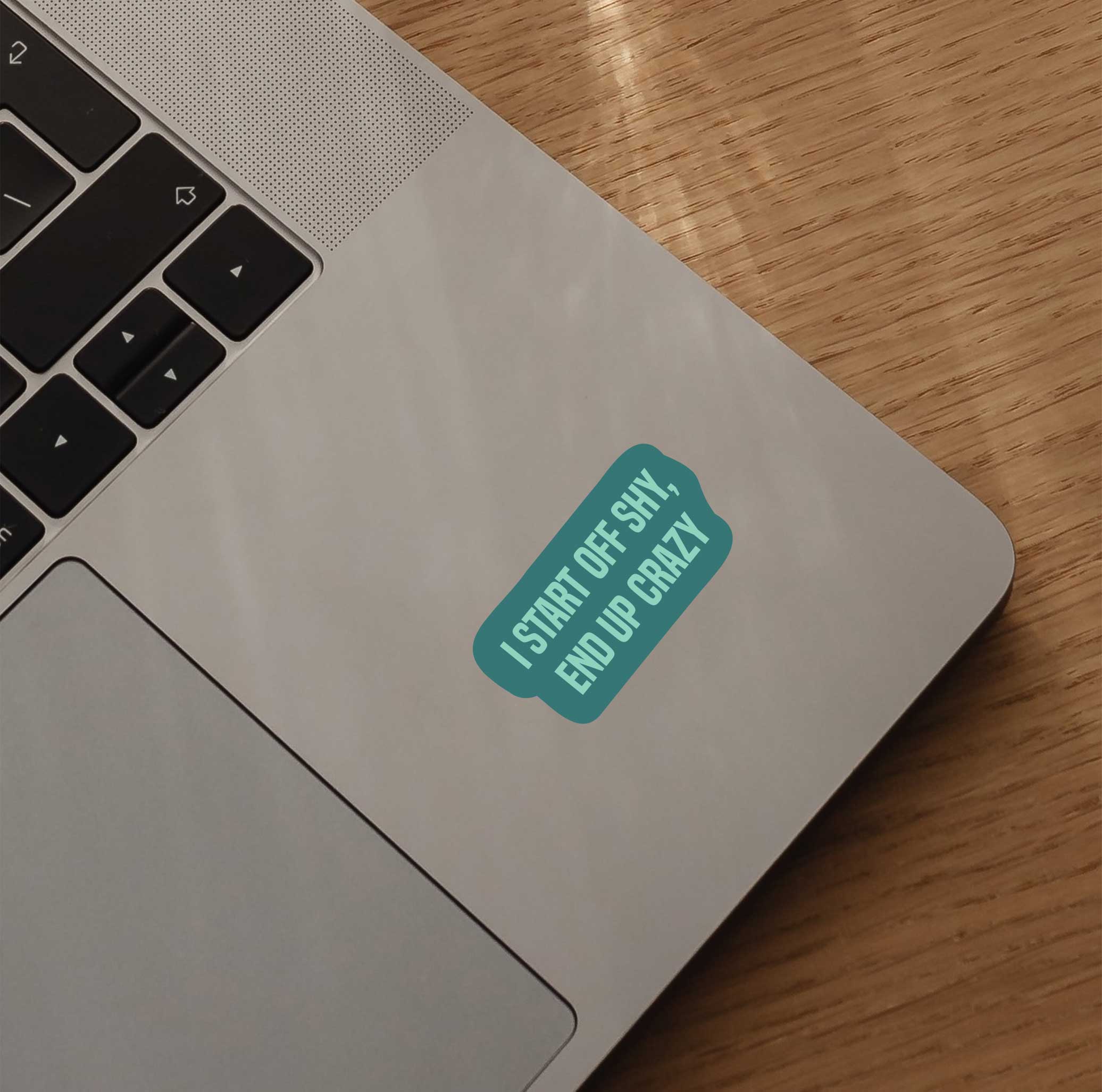 I Start Off Shy, End Up Crazy Sticker