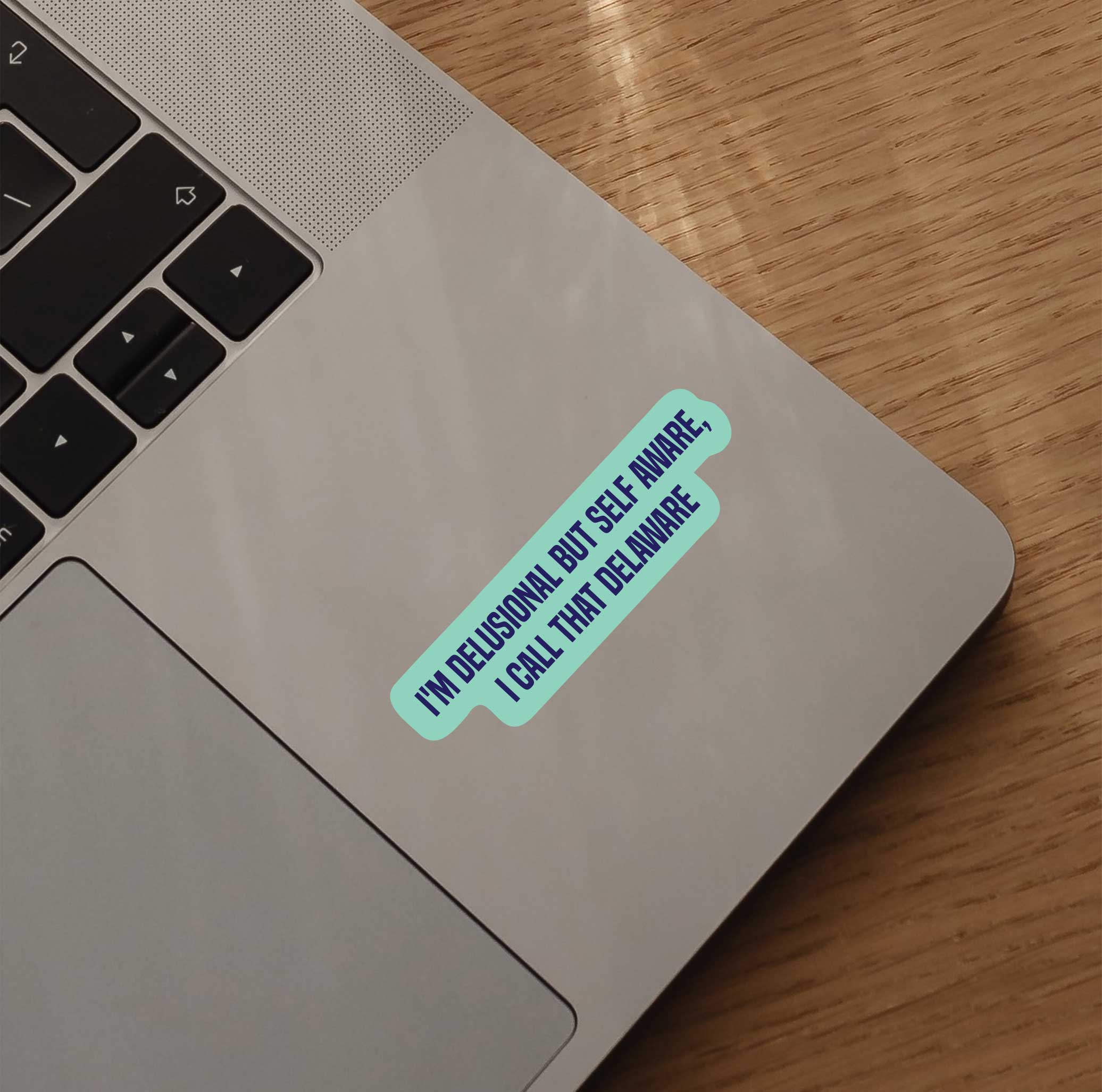 I'm Delusional But Self Aware, I Call That Delaware Sticker
