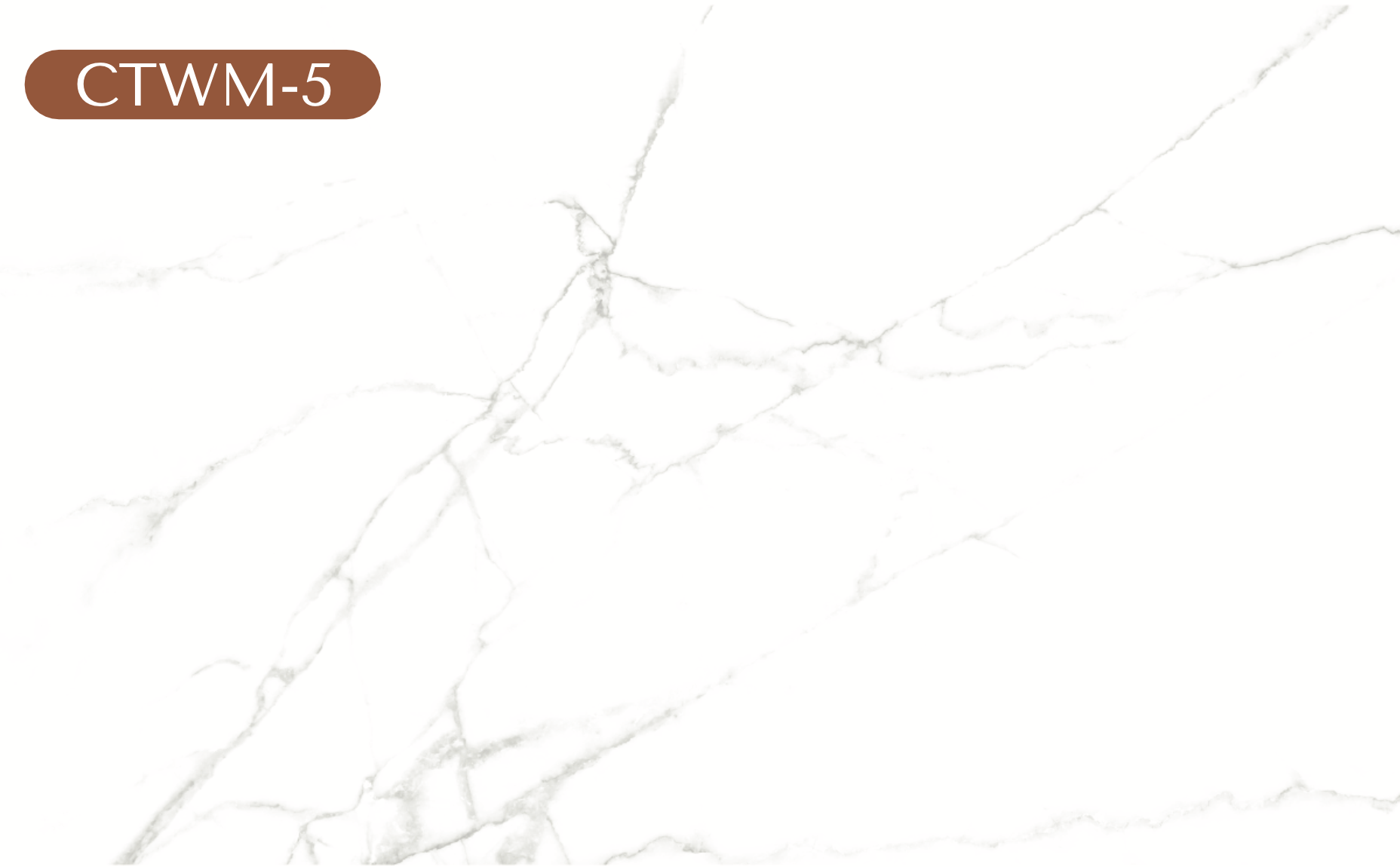 CTWM-5 - White Gray Marble Vinyl