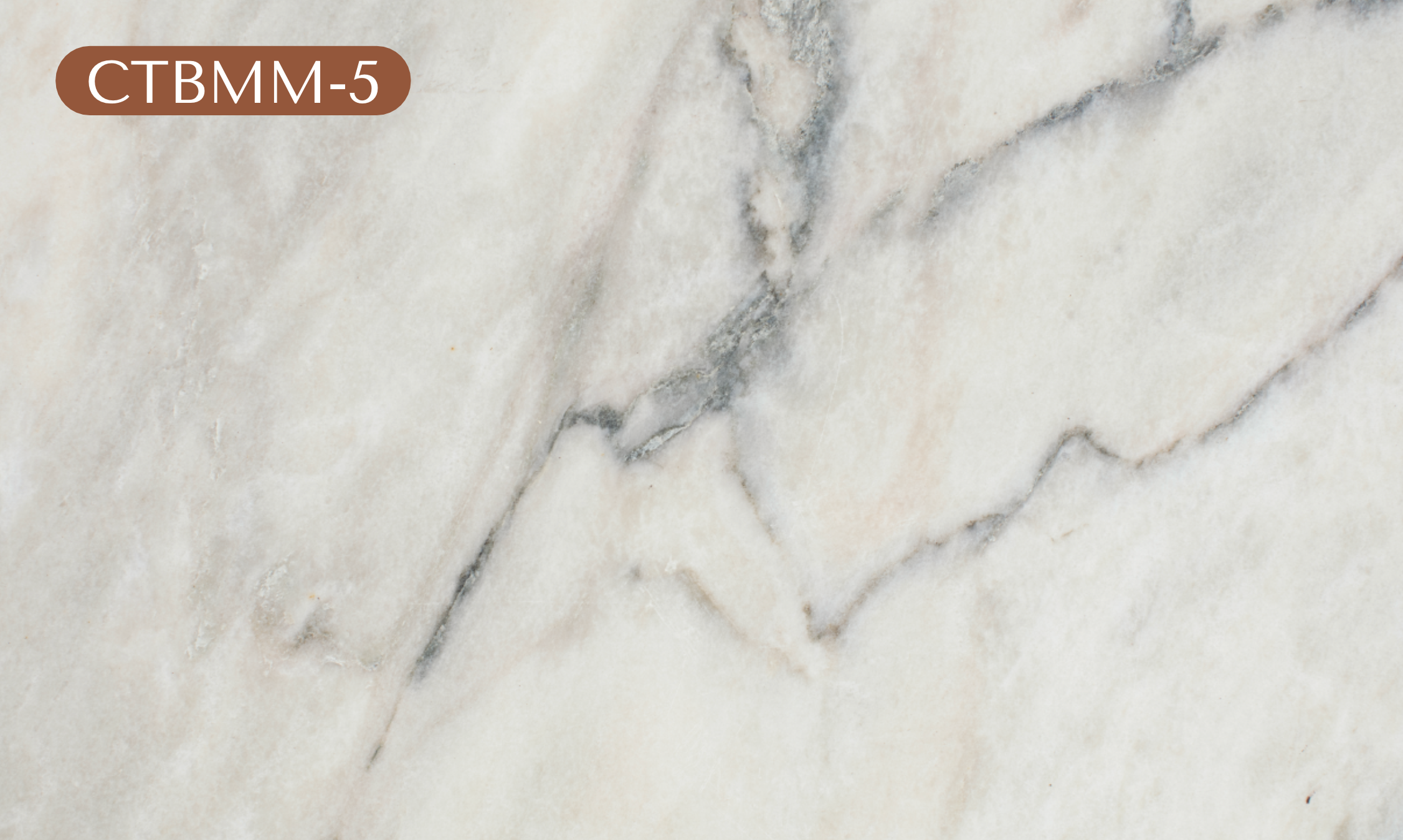 CTBMM-5 - Beige Mix Marble Vinyl