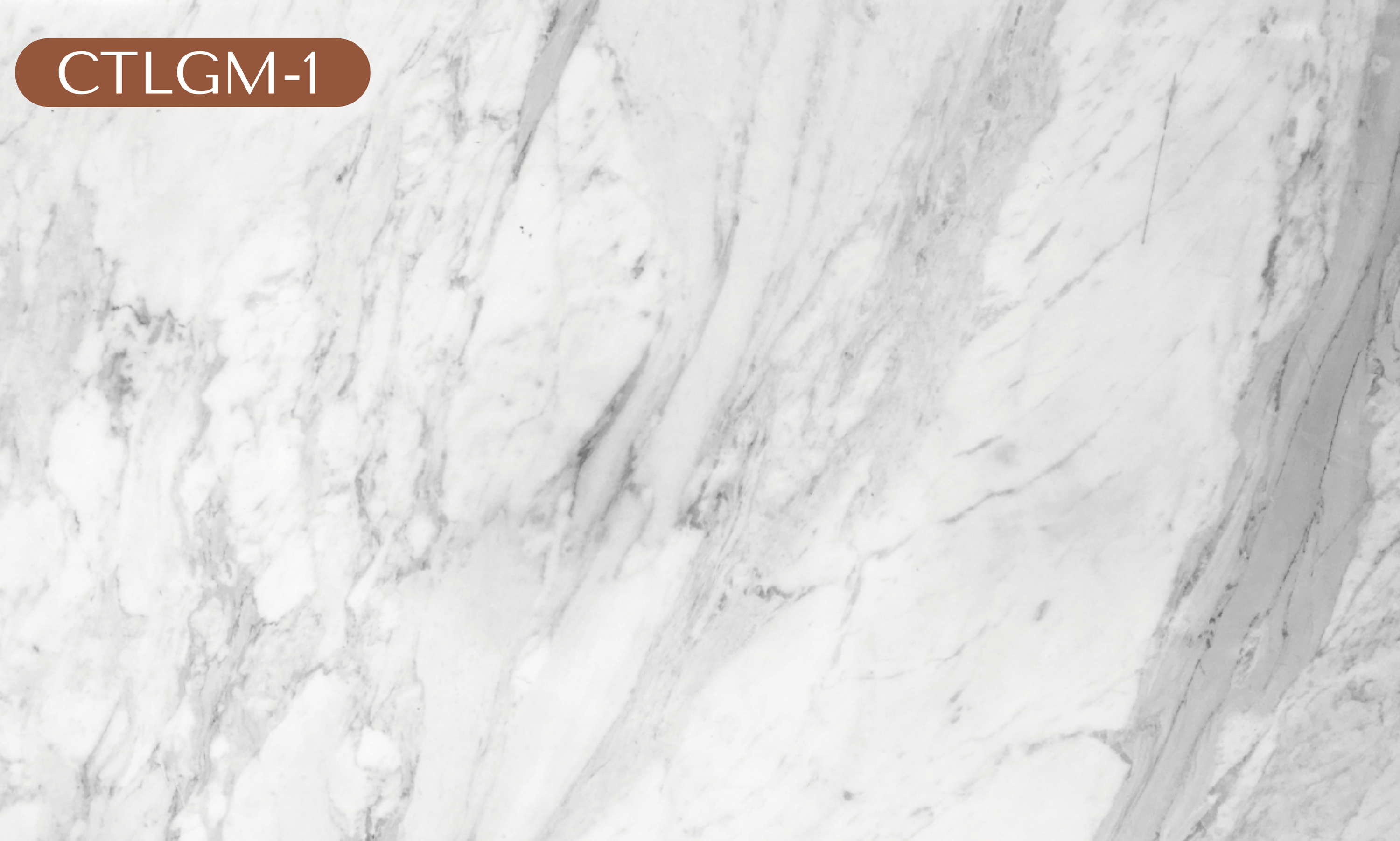CTLGM-1 Light Gray Marble