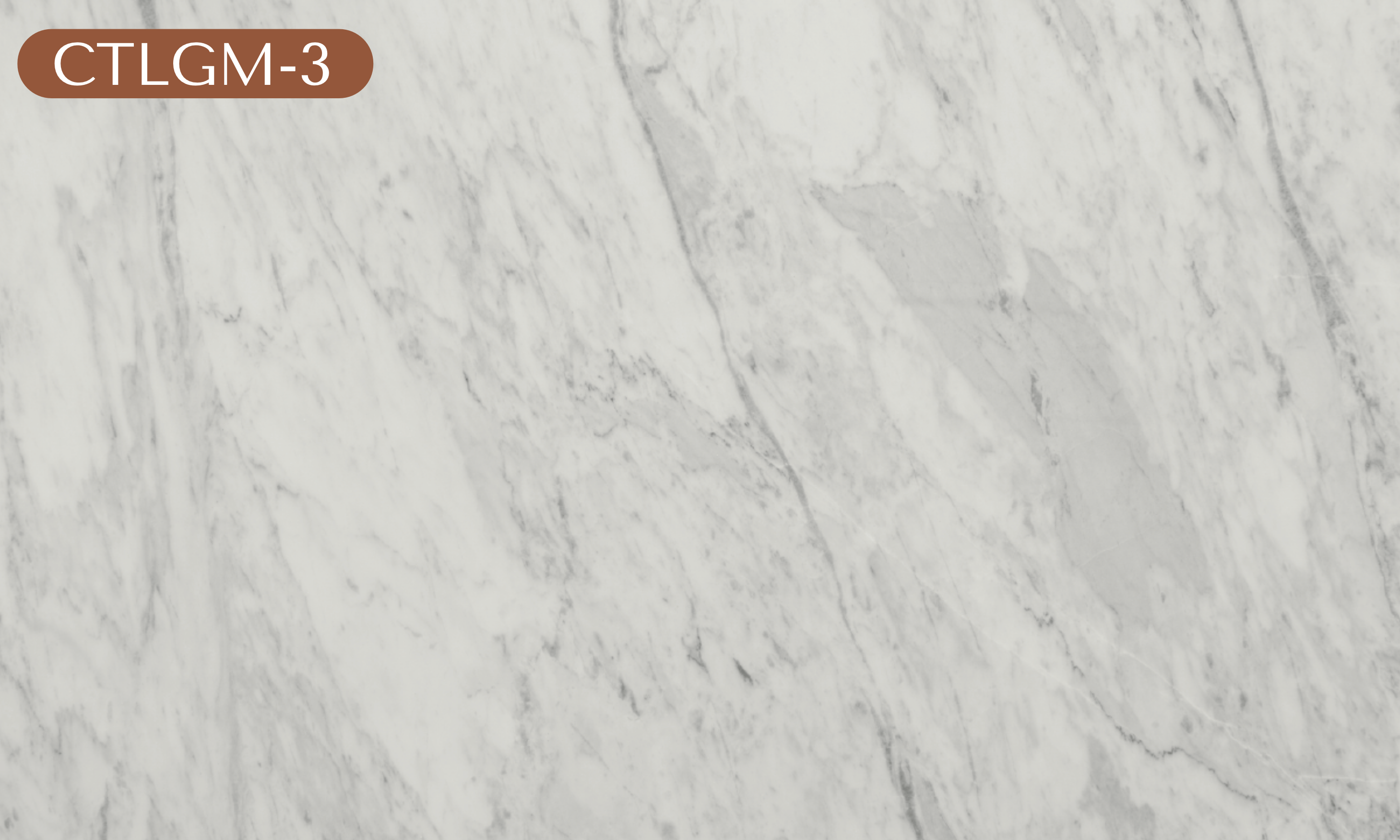 CTLGM-4 Light Gray Marble