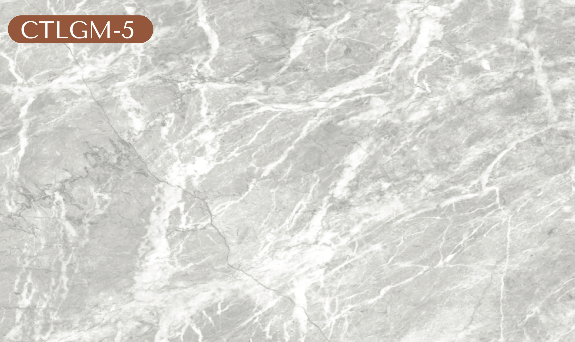 CTLGM-5 Light Gray Marble