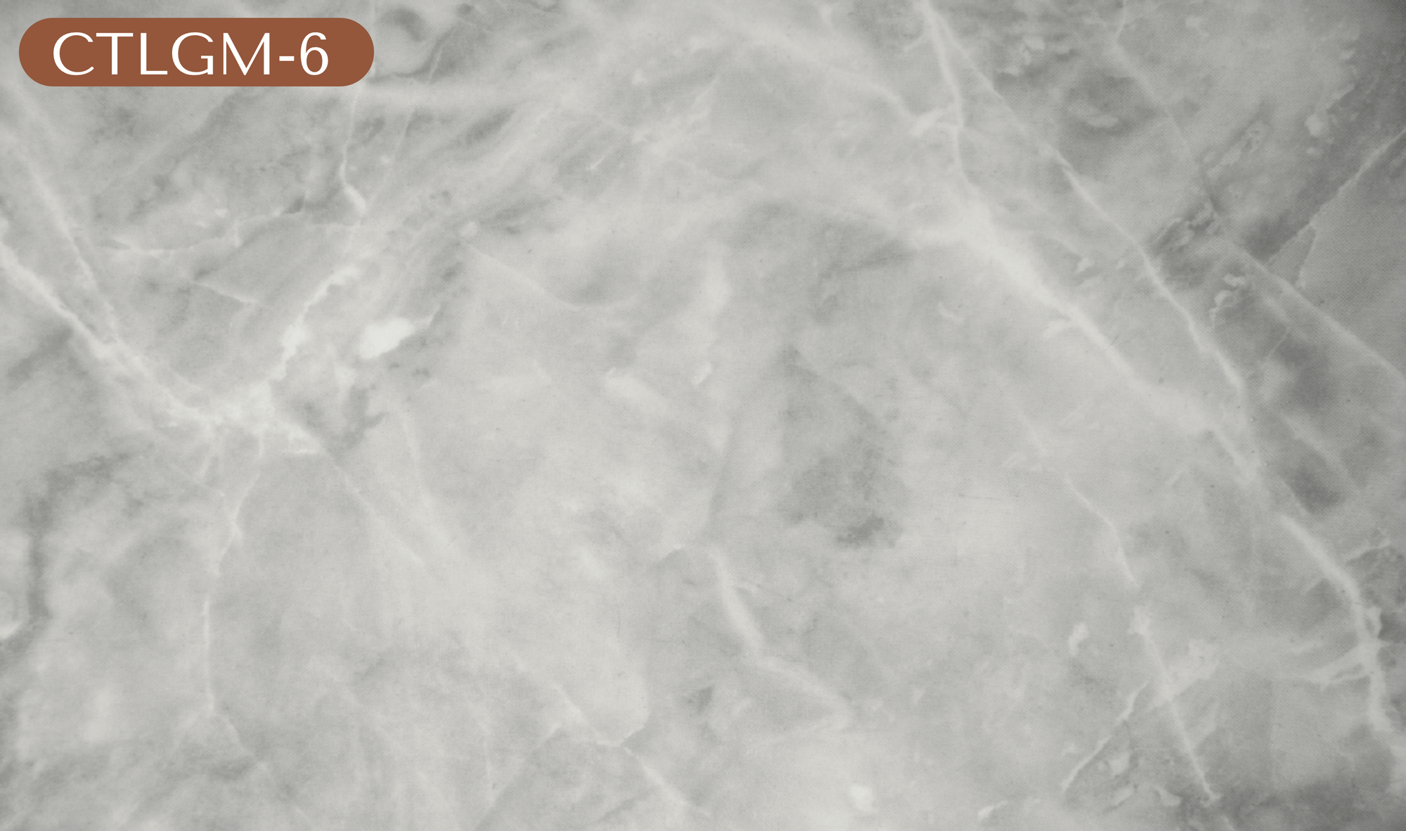 CTLGM-6 Light Gray Marble