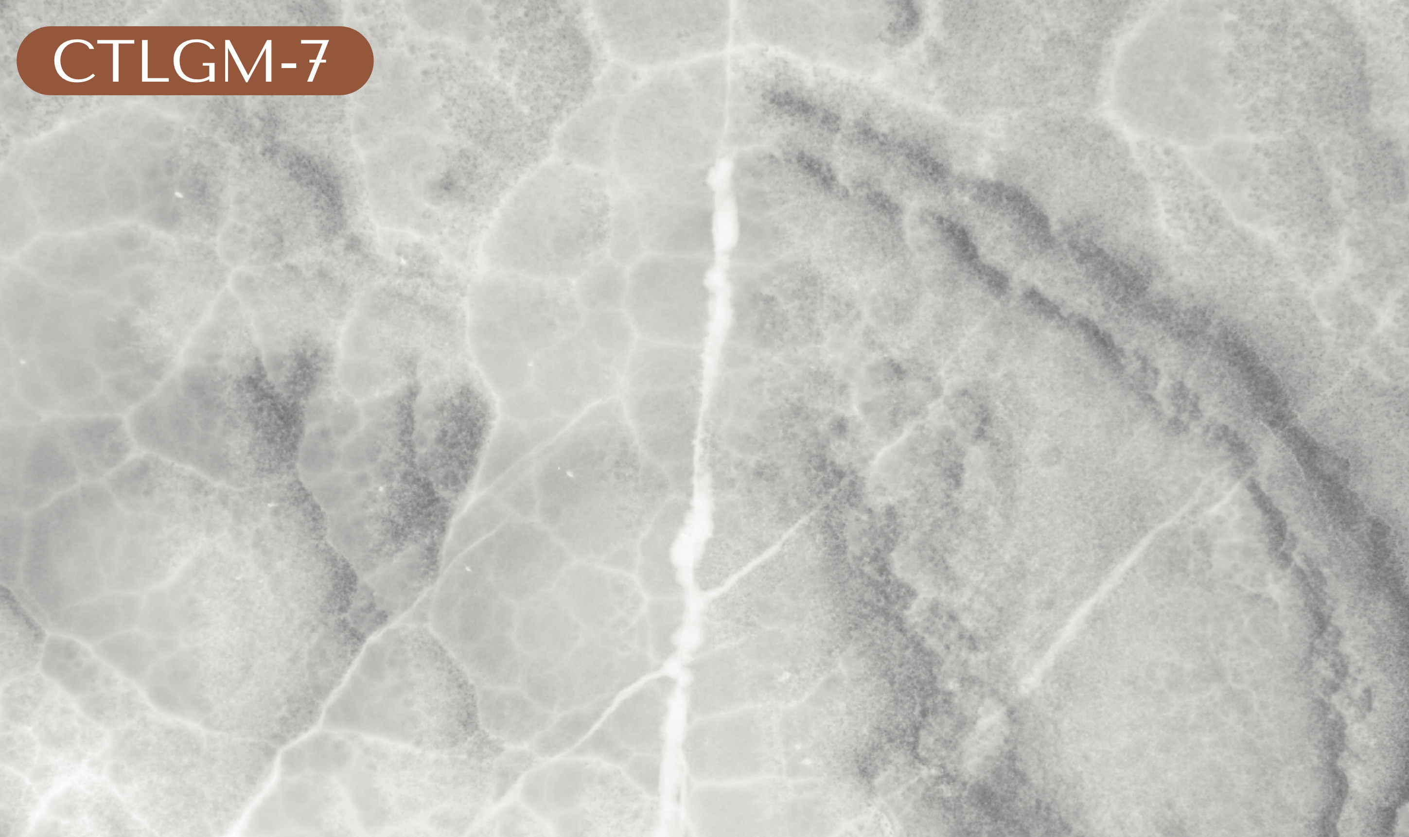 CTLGM-7 Light Gray Marble
