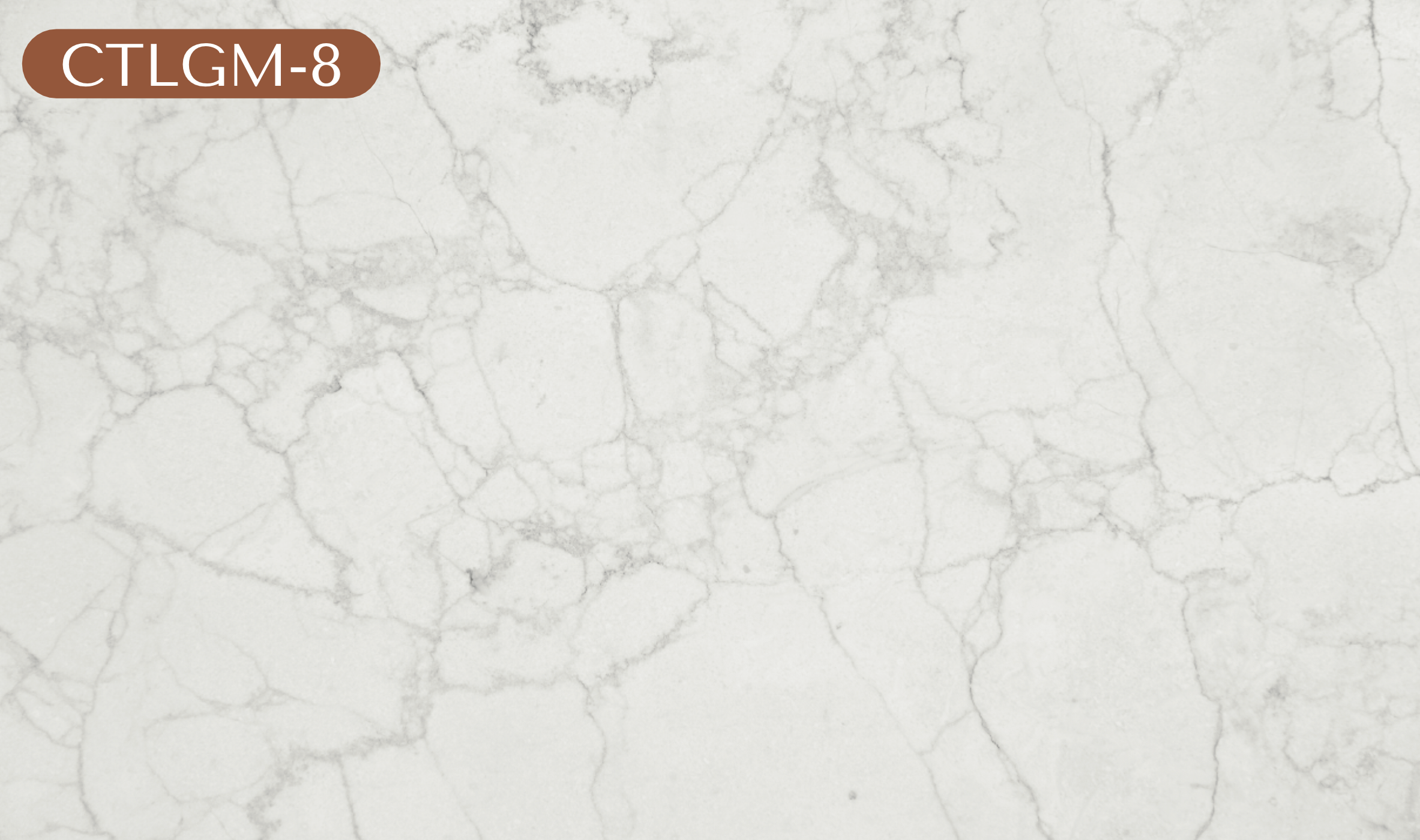 CTLGM-8 Light Gray Marble