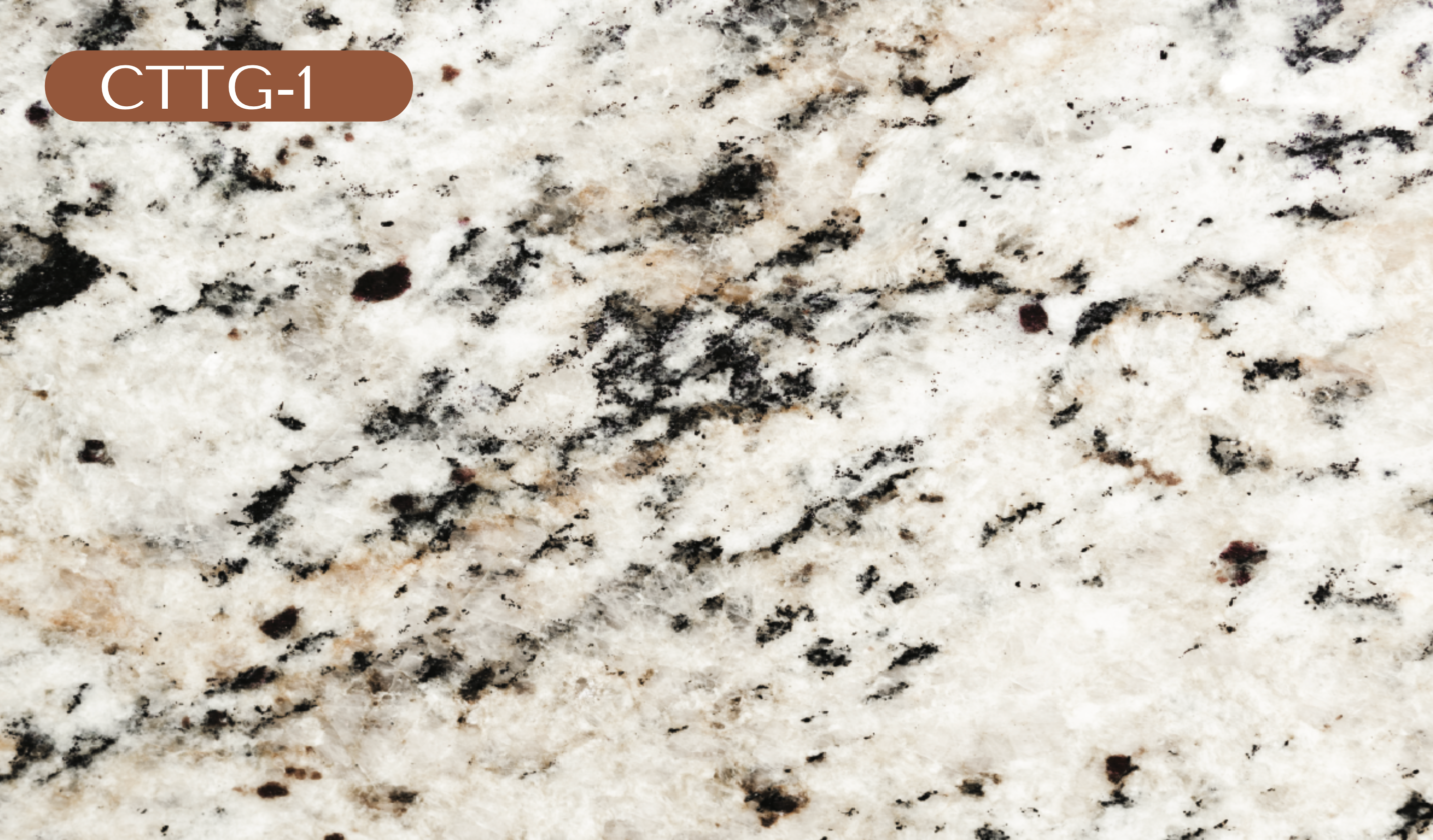 CTTG-1 Tan Granite