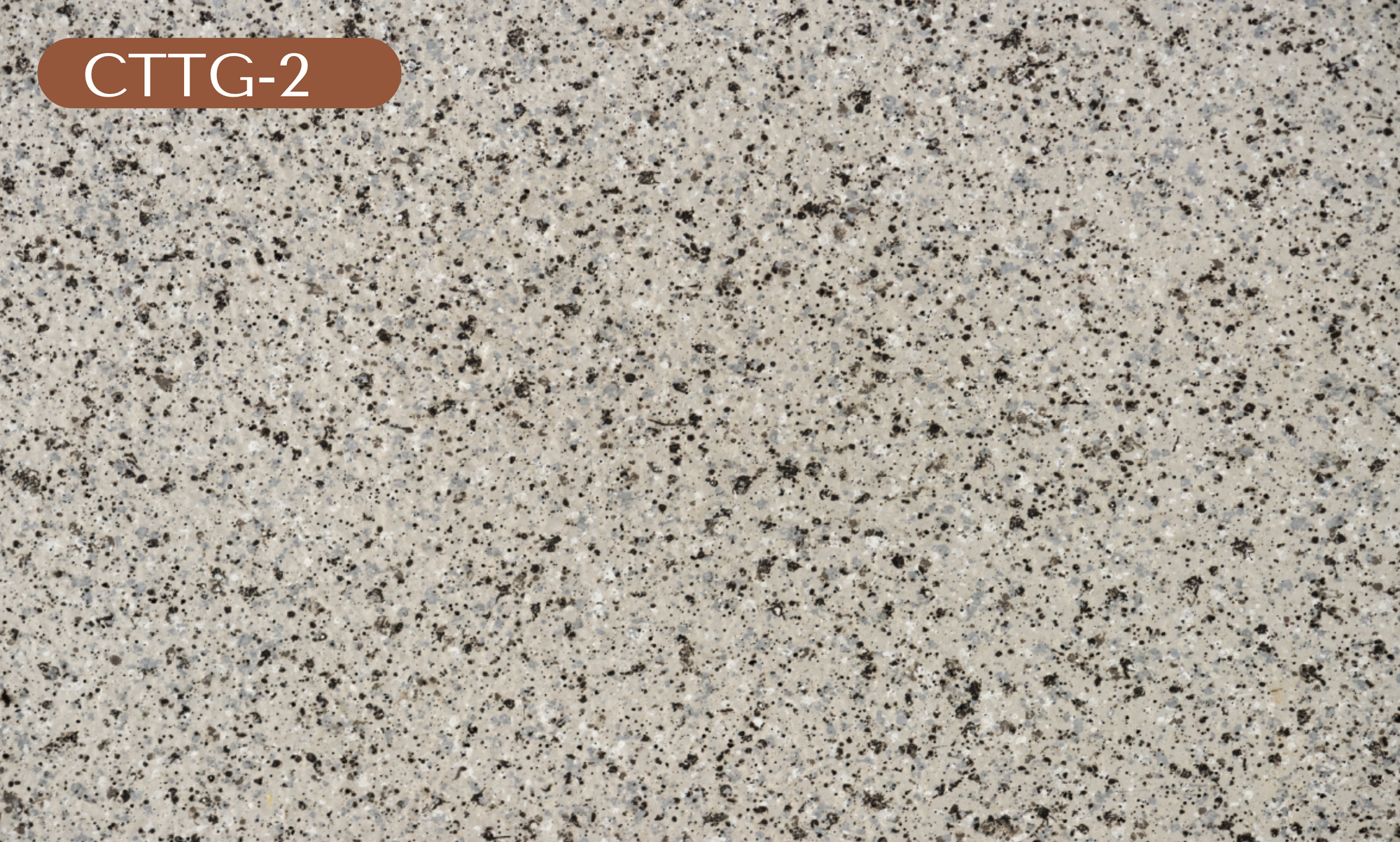 CTTG-2 Tan Granite