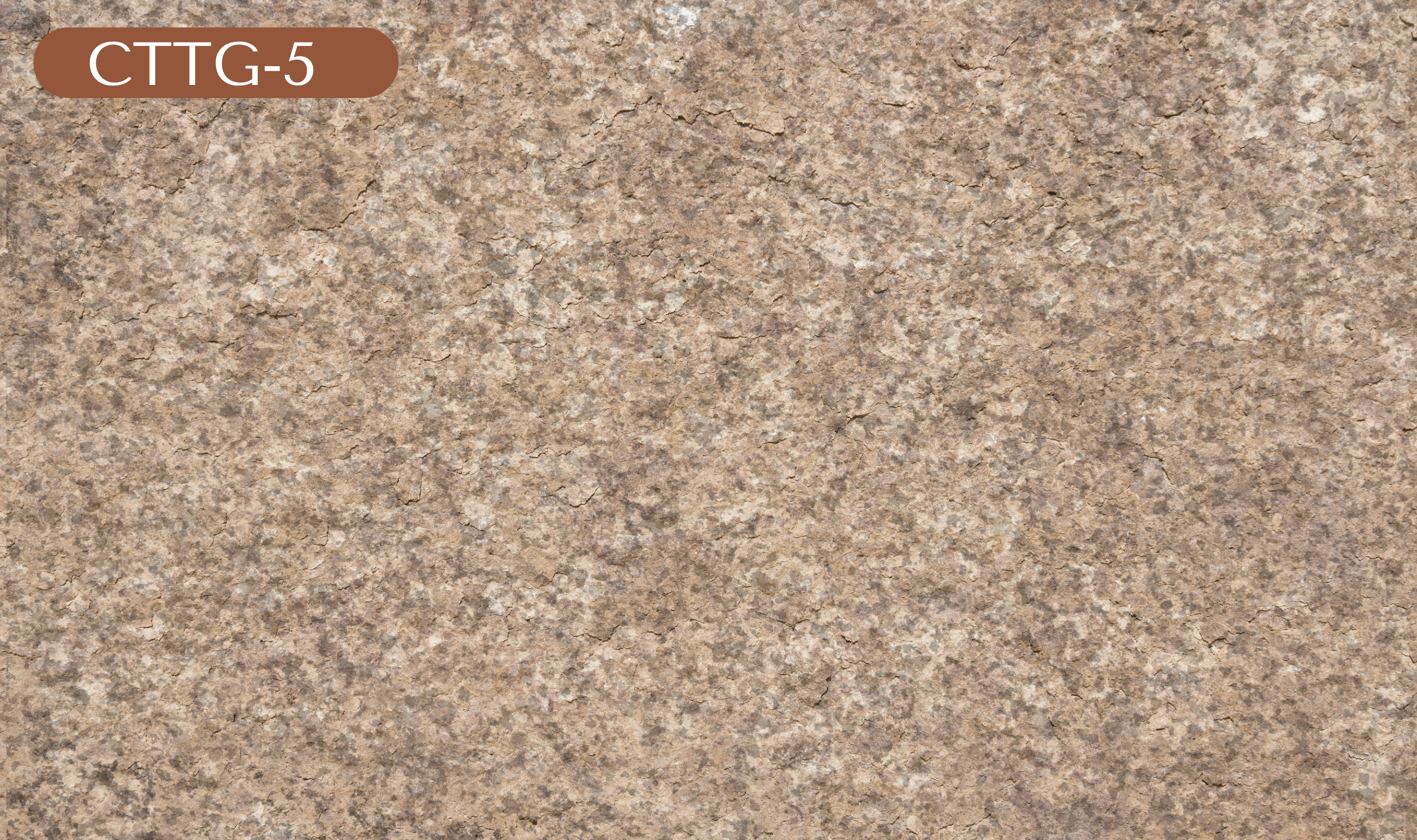 CTTG-5 Tan Granite