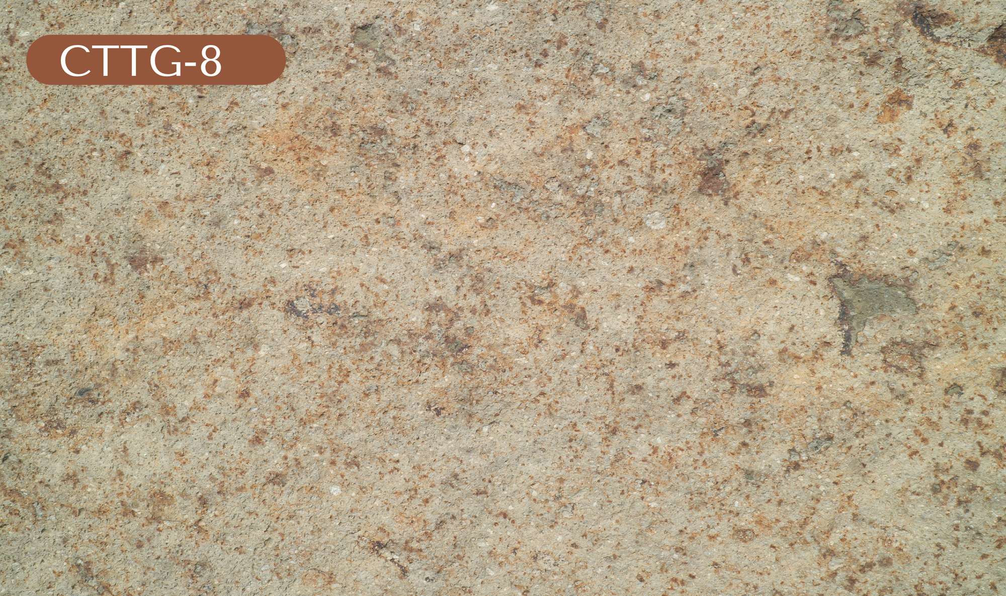 CTTG-8 Tan Granite