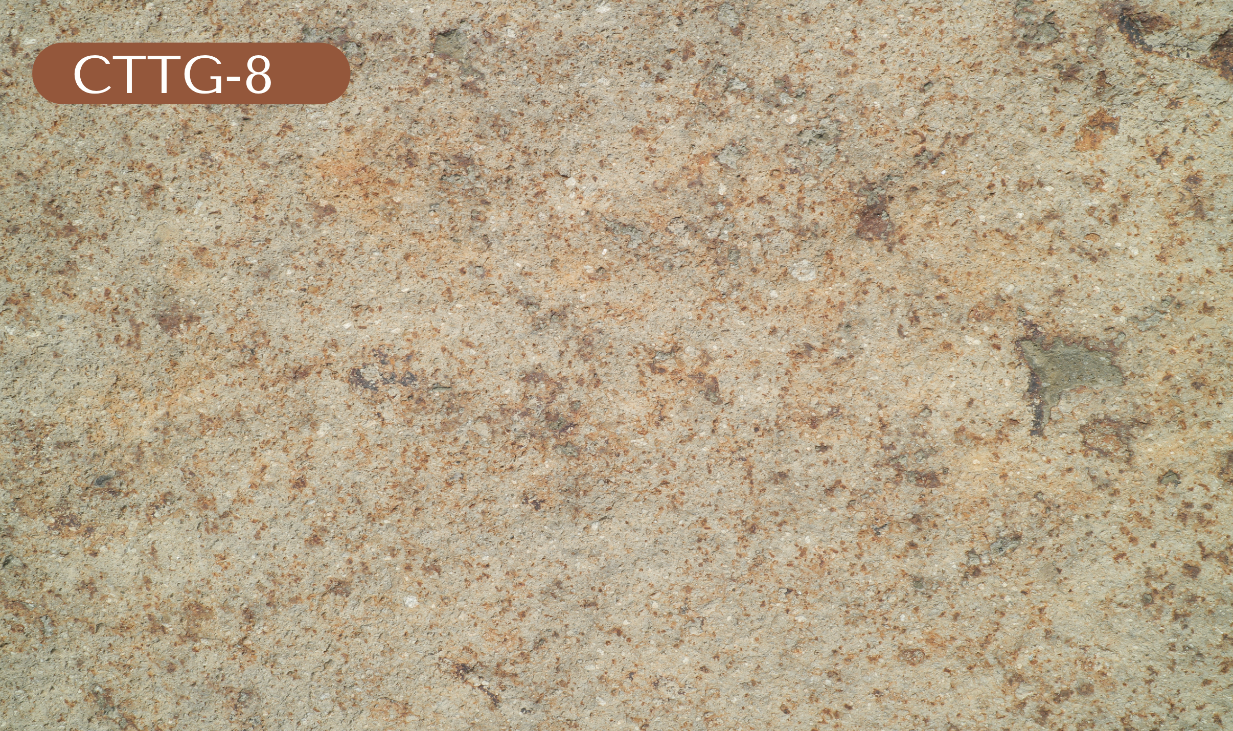 CTTG-8 Tan Granite