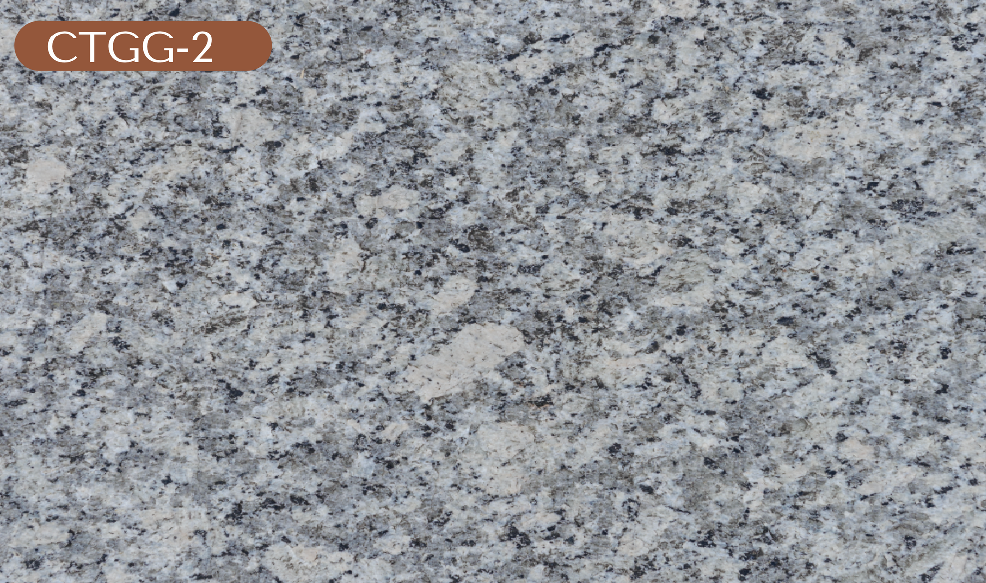 CTGG-2 Gray Granite
