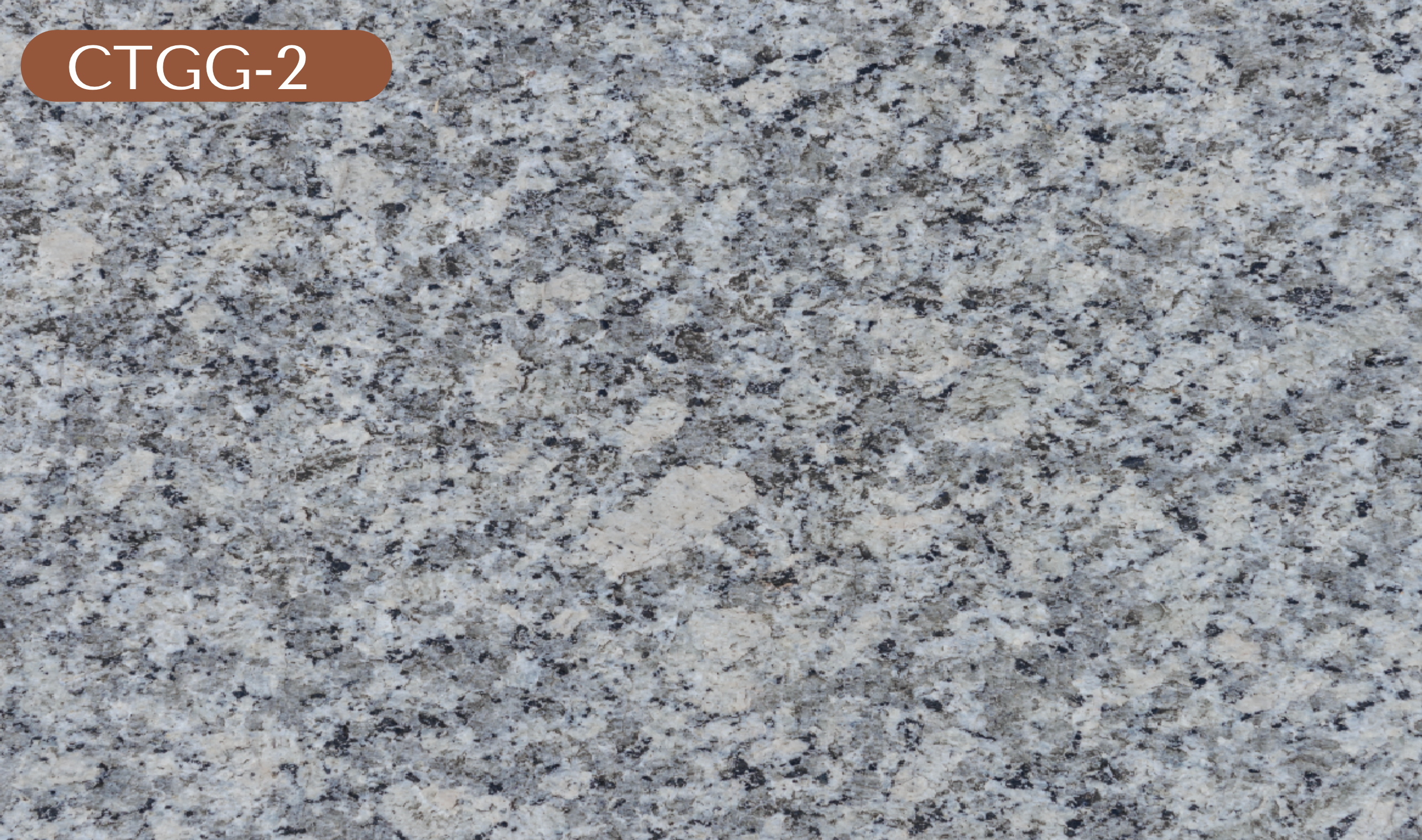 CTGG-2 Gray Granite