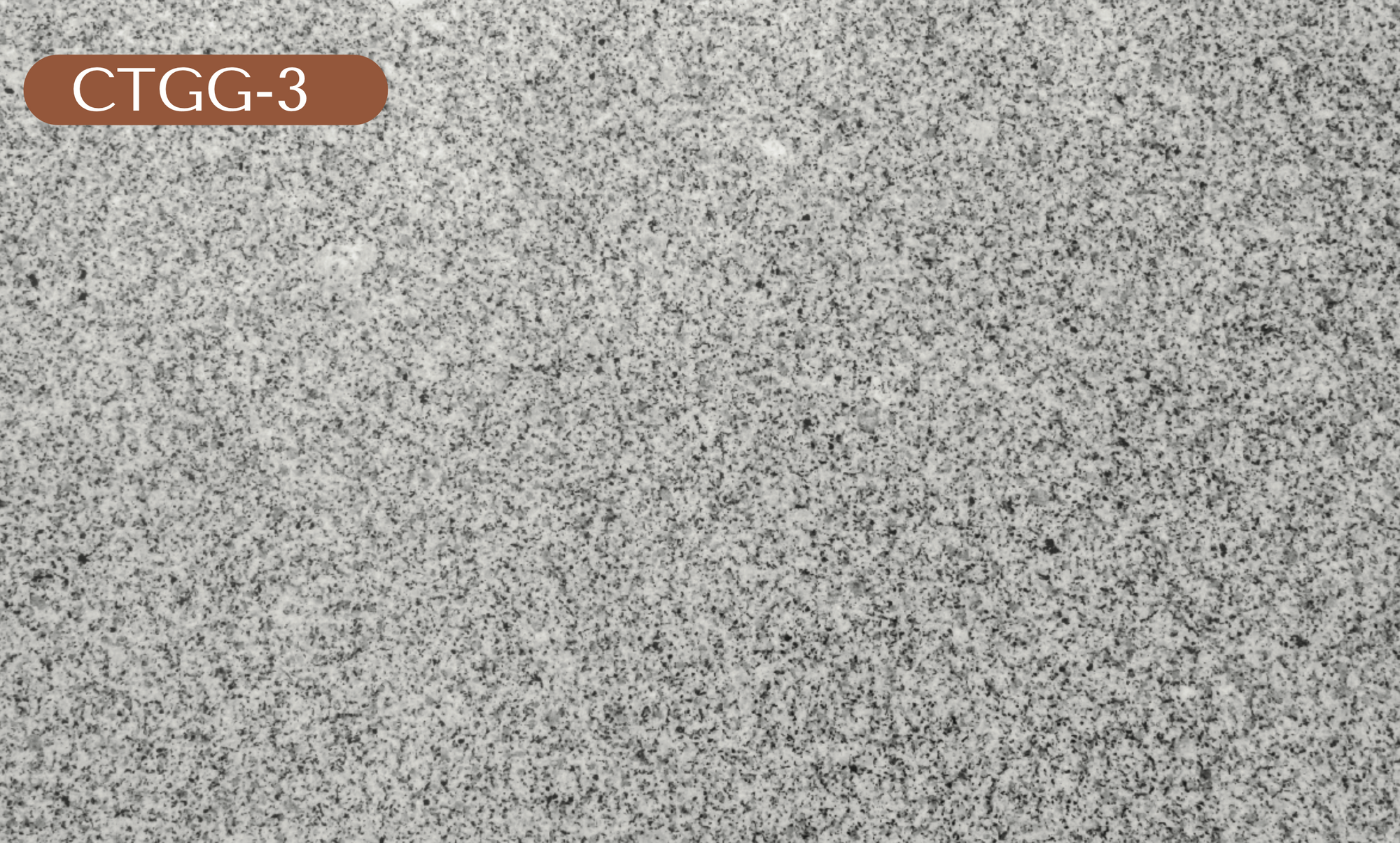 CTGG-3 Gray Granite