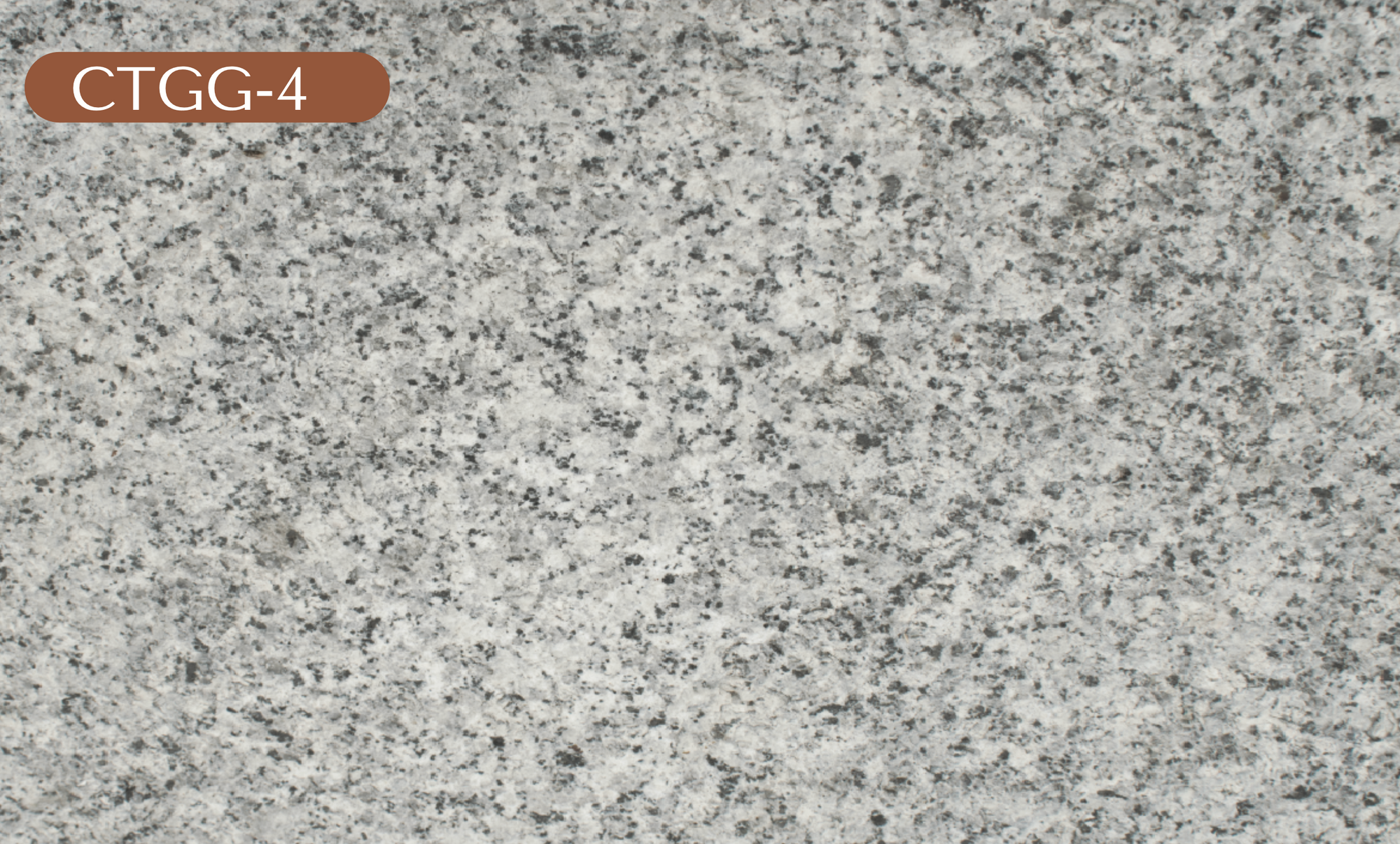 CTGG-4 Gray Granite