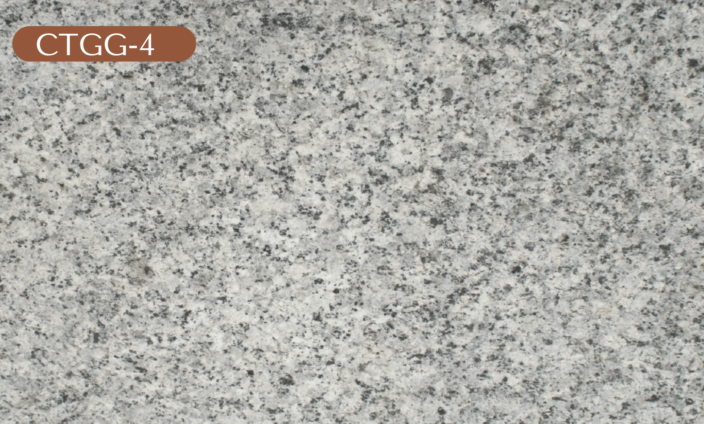 CTGG-4 Gray Granite