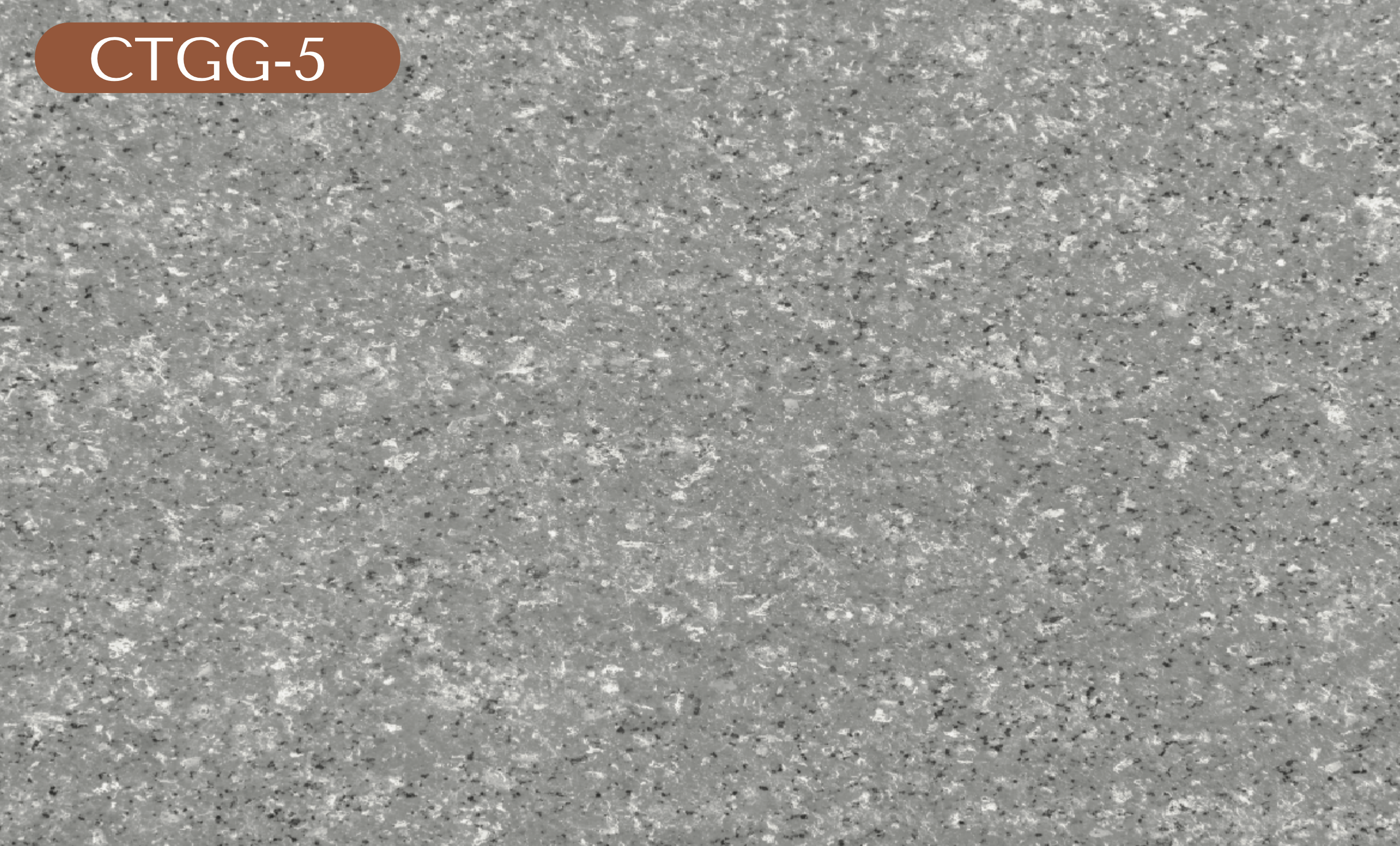 CTGG-5 Gray Granite