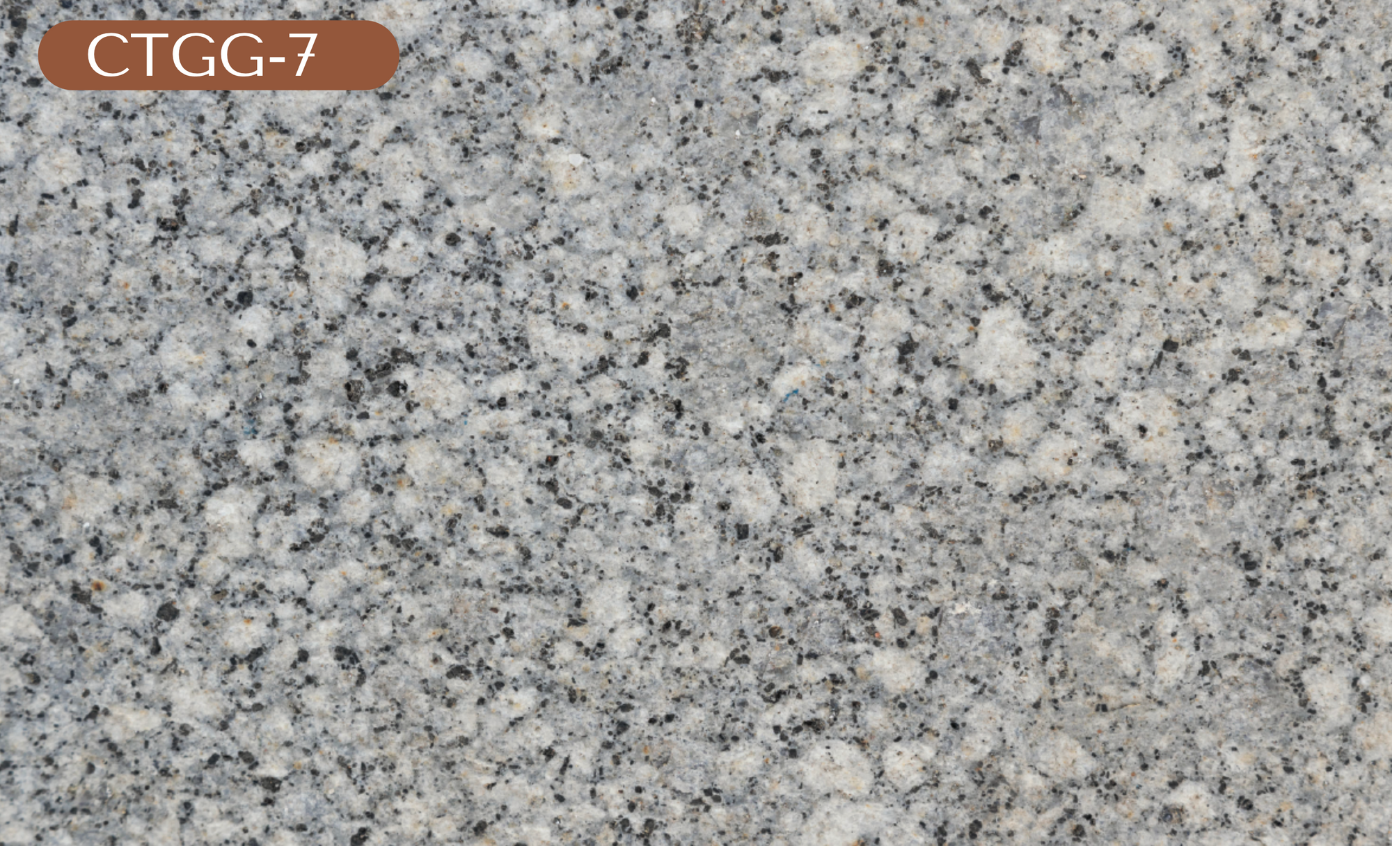 CTGG-7 Gray Granite