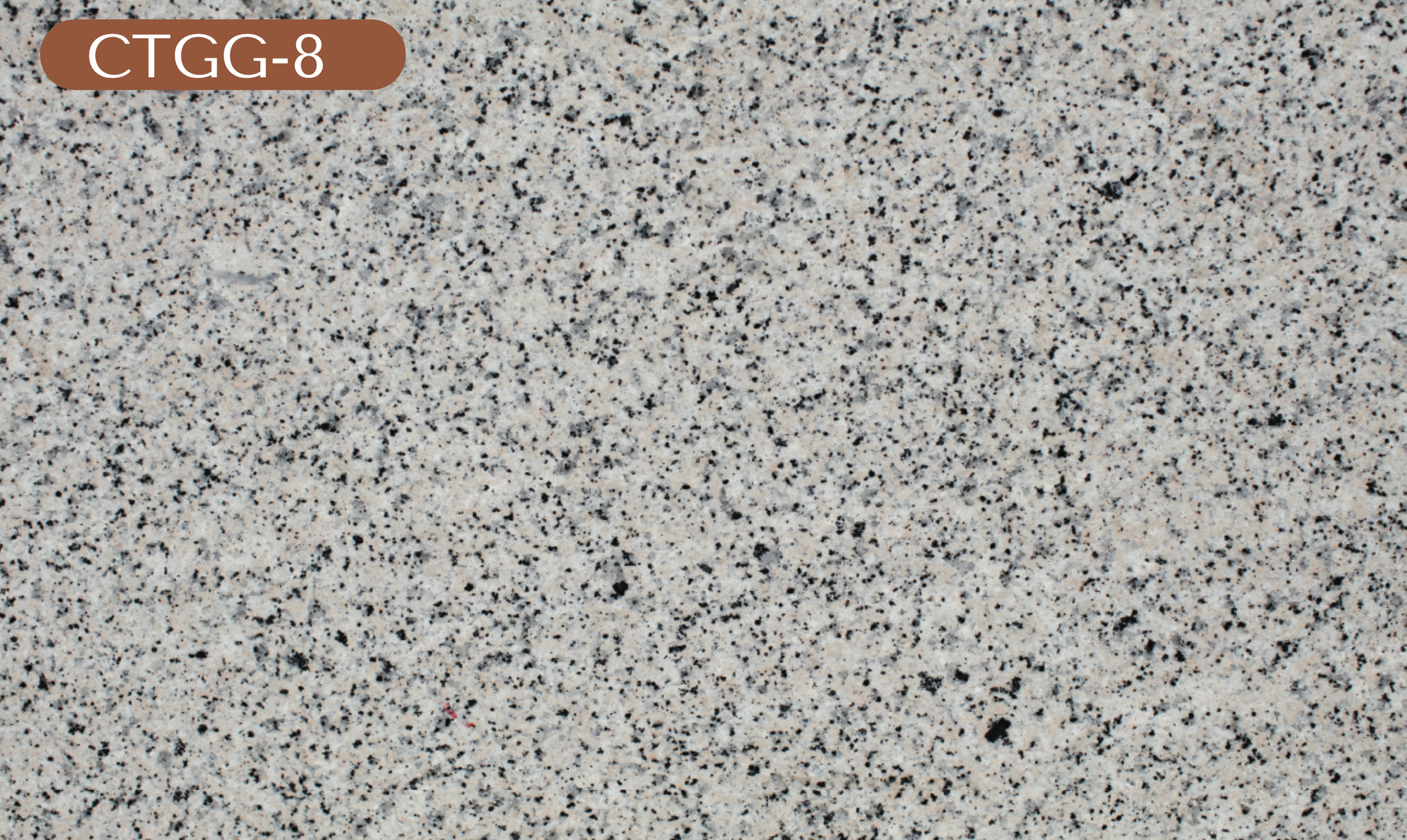 CTGG-8 Gray Granite